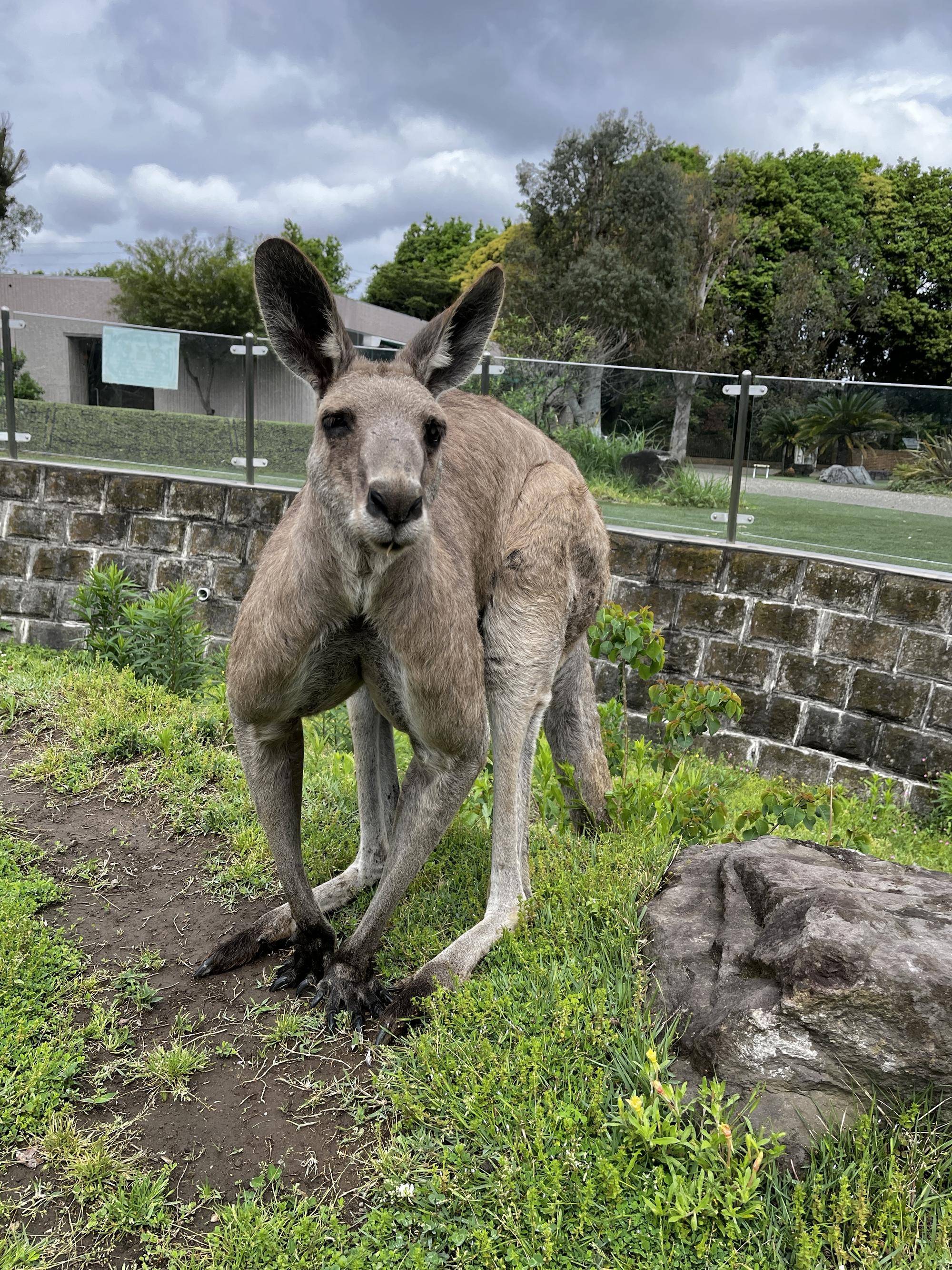 ダイフク (2).jpg