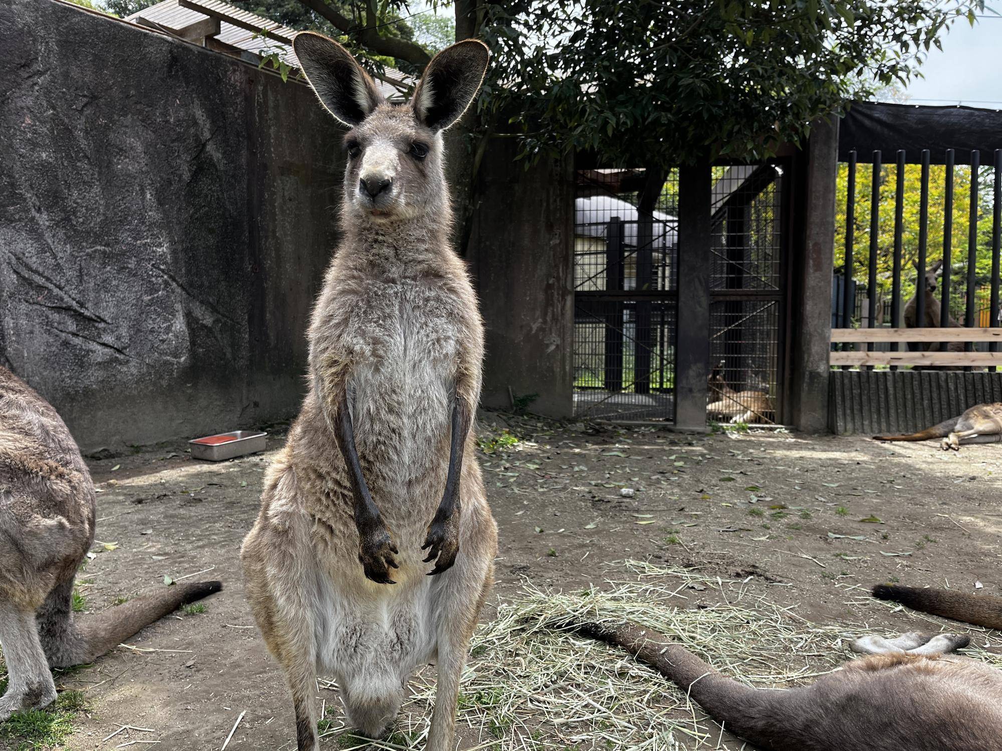 ドリーム (4).jpg