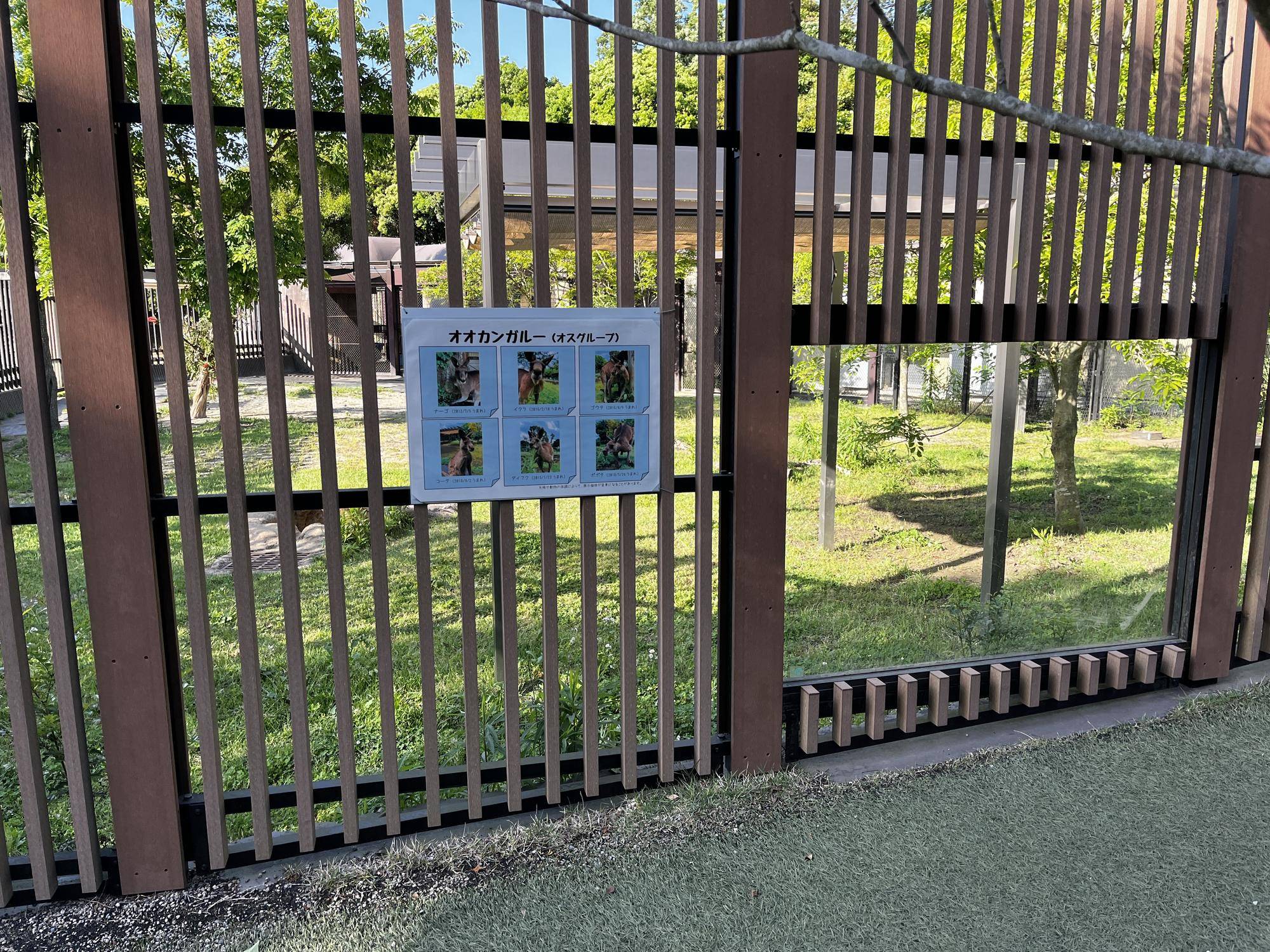 20240510オス個体紹介 設置.jpg