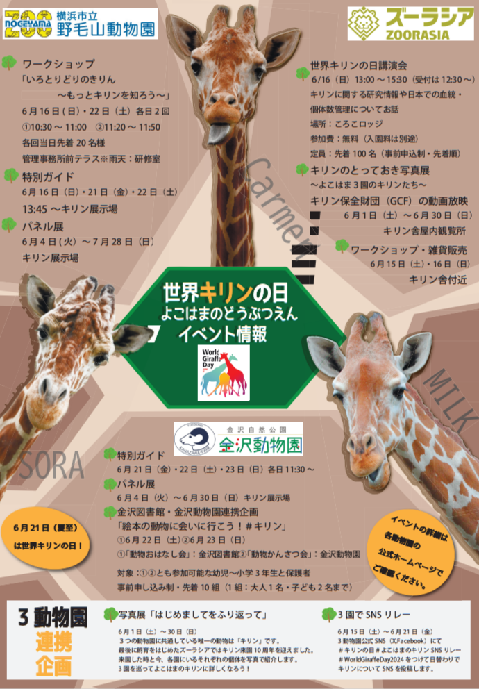 スクリーンショット (33).png