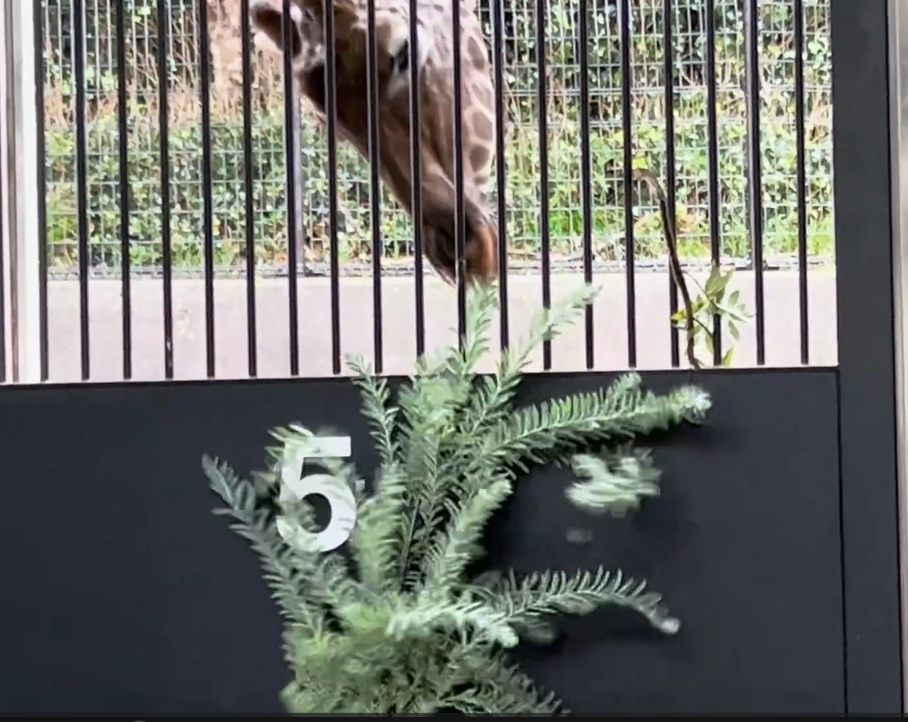 スクリーンショット (34).png