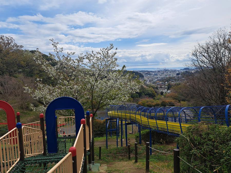 ④こども広場すべり台と桜.jpg