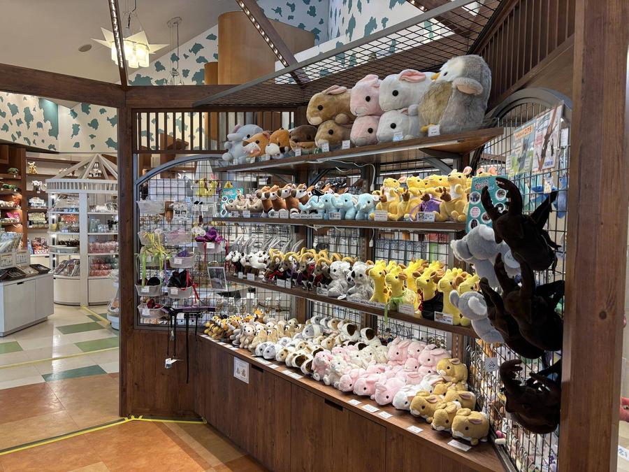ののはなギフトショップ売り場③.jpeg