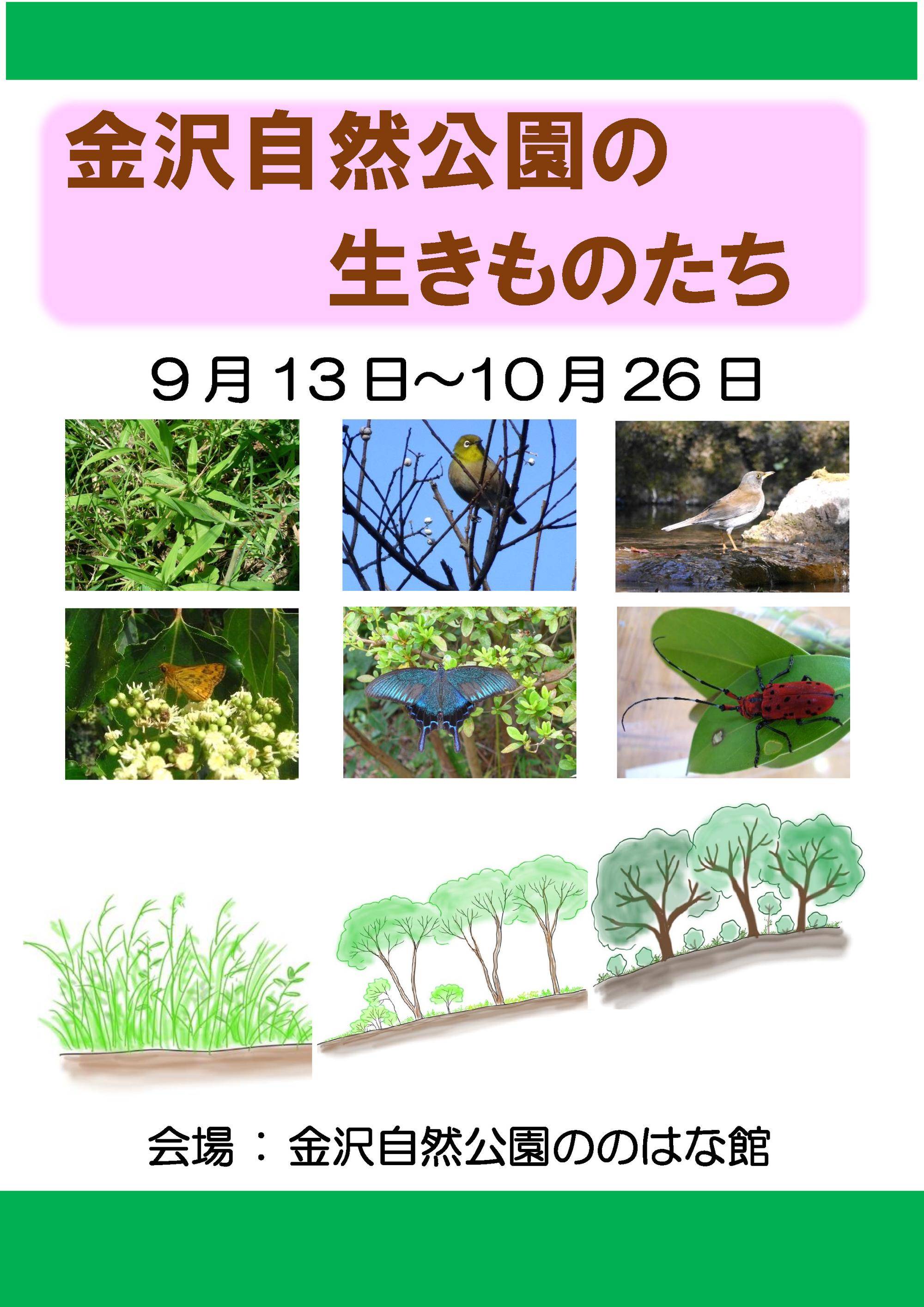 ★_2509公園の生きものたちチラシ.jpg