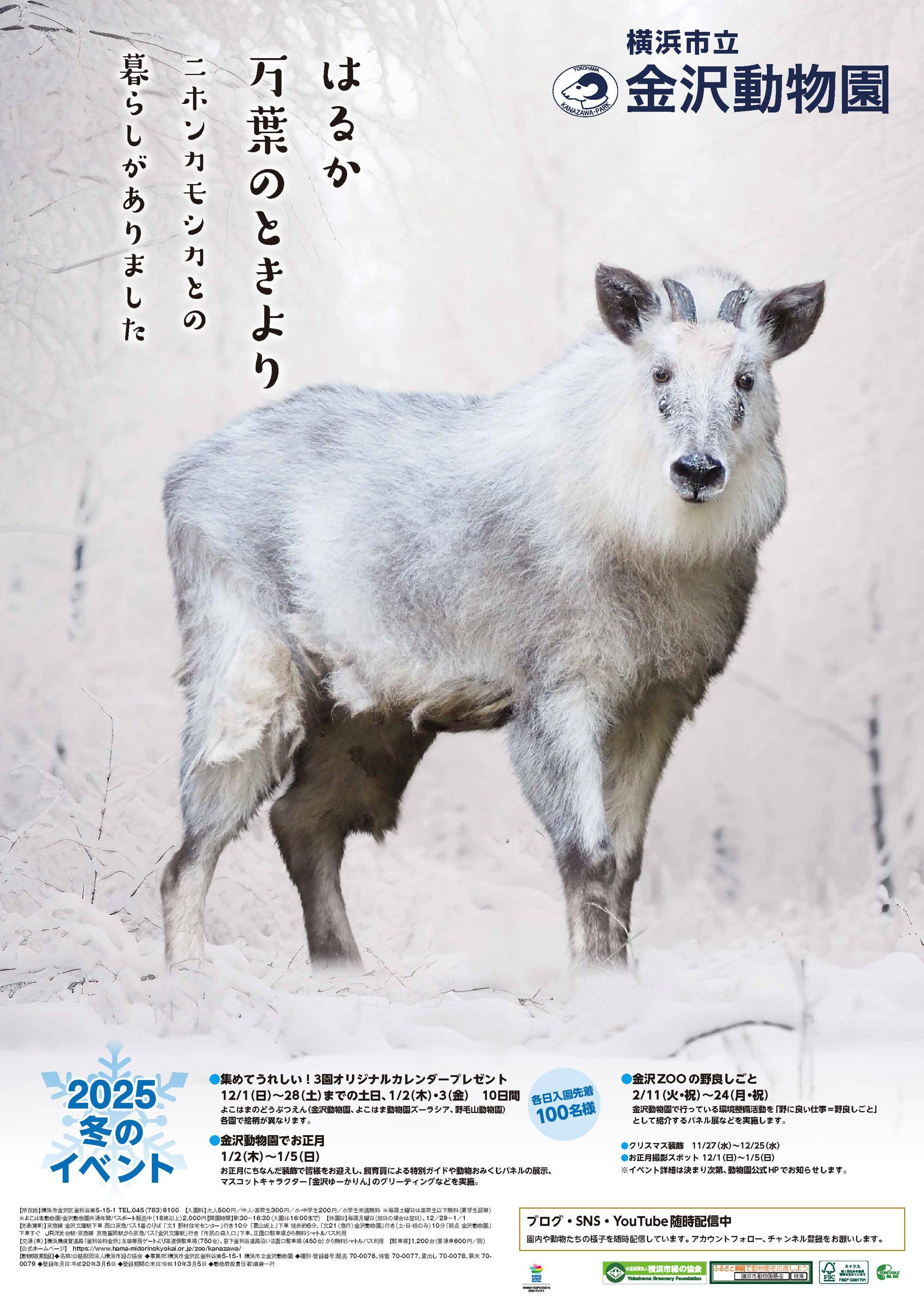 2025冬ポスタータテB1.jpg