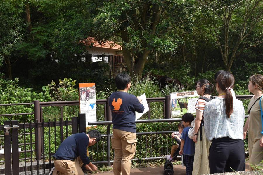 オカピの日保全のお話.jpg