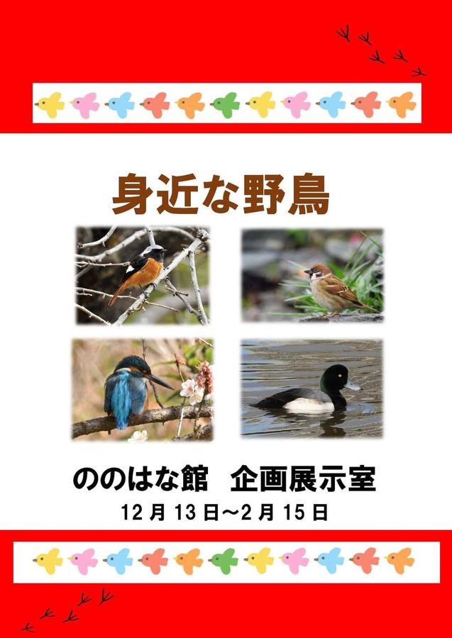 251213野鳥展 ポスター.jpg