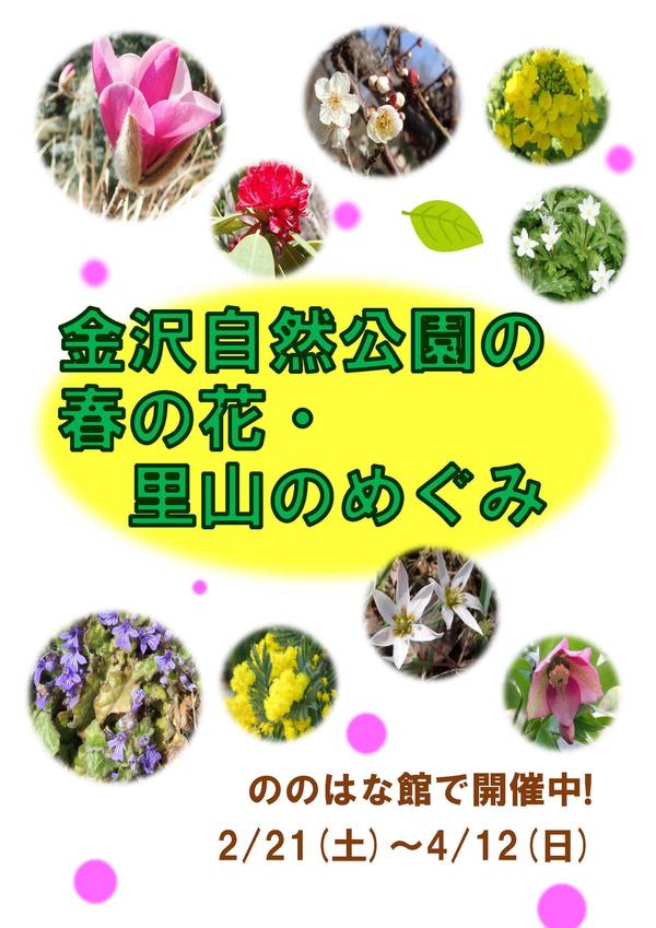 260221春の花・里山展 チラシ.jpg