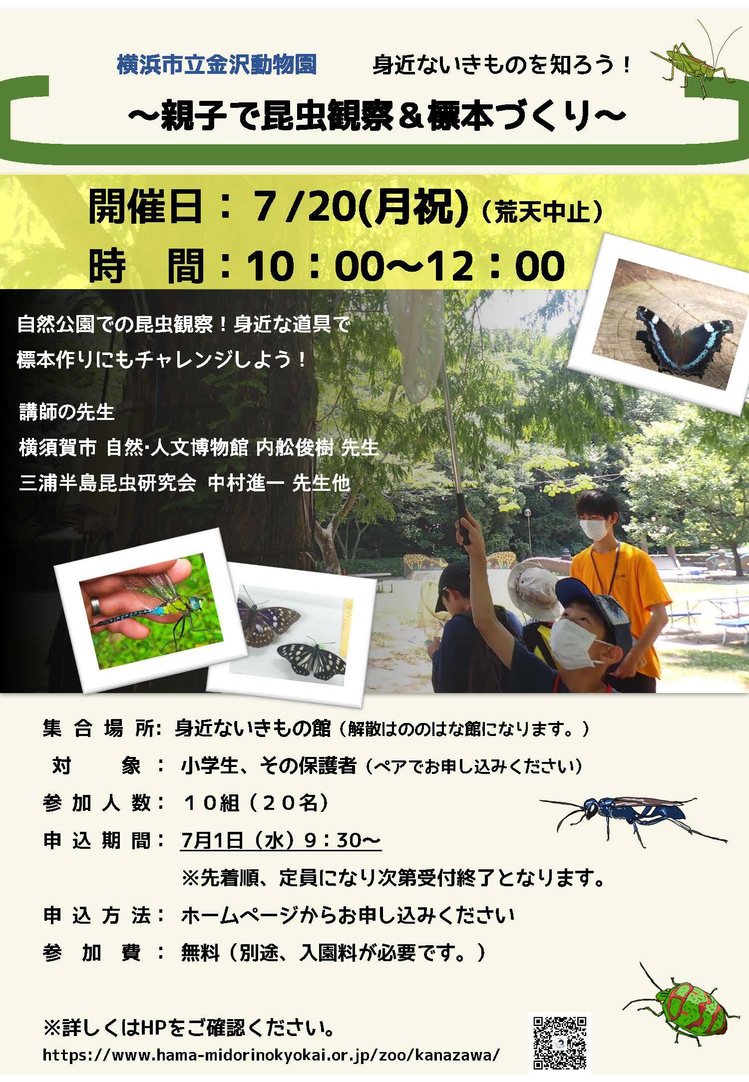 (ポスター案)R8昆虫観察と標本づくり 0630修正.jpg