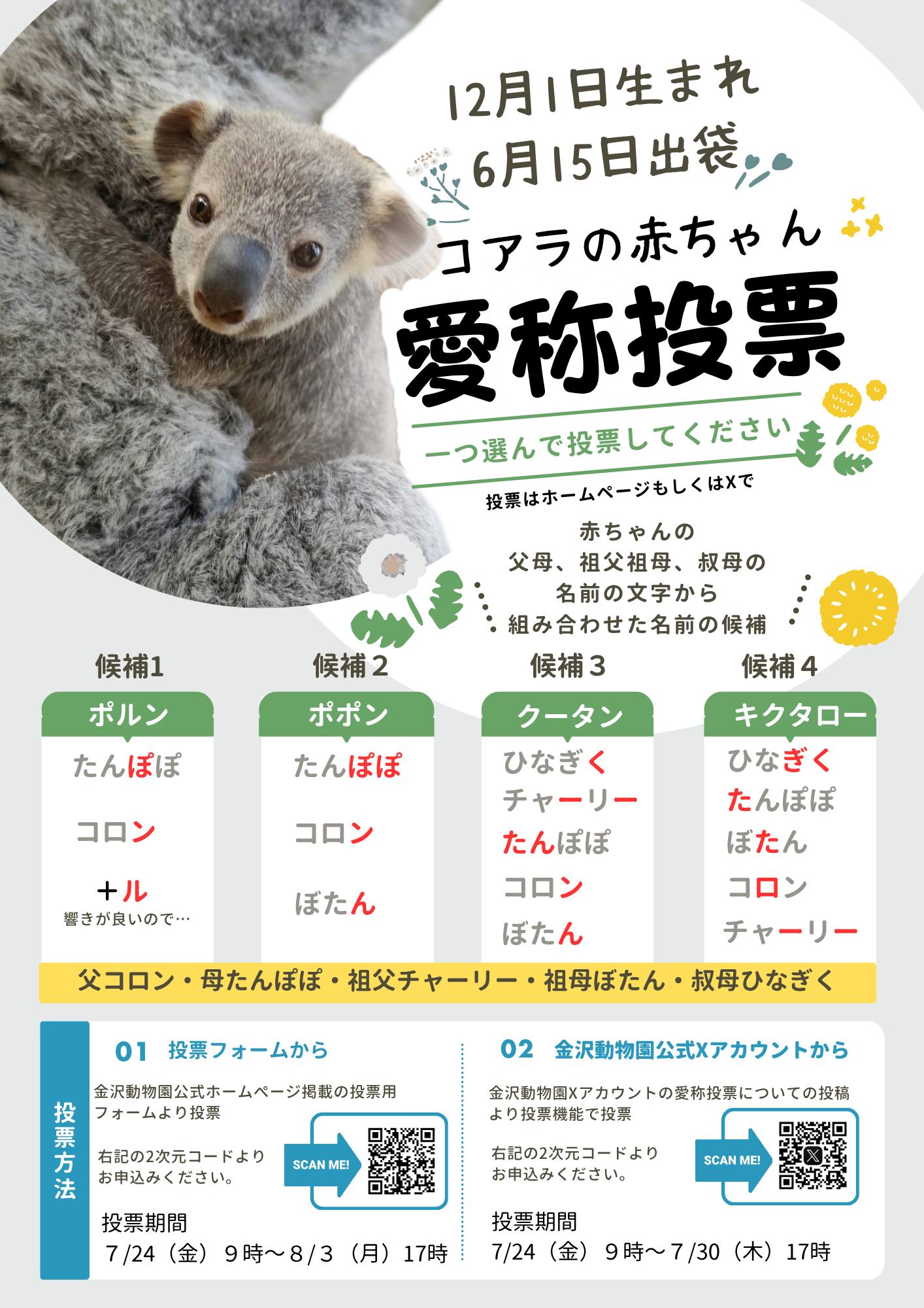 コアラ愛称募集 (1).png