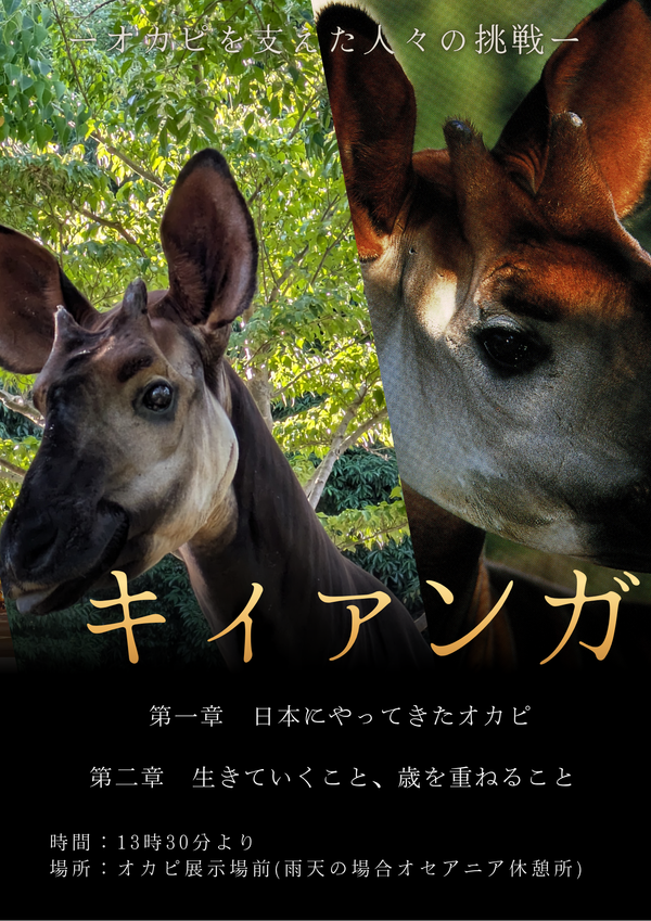 オカピの日トークイベントポスター改のコピー.png