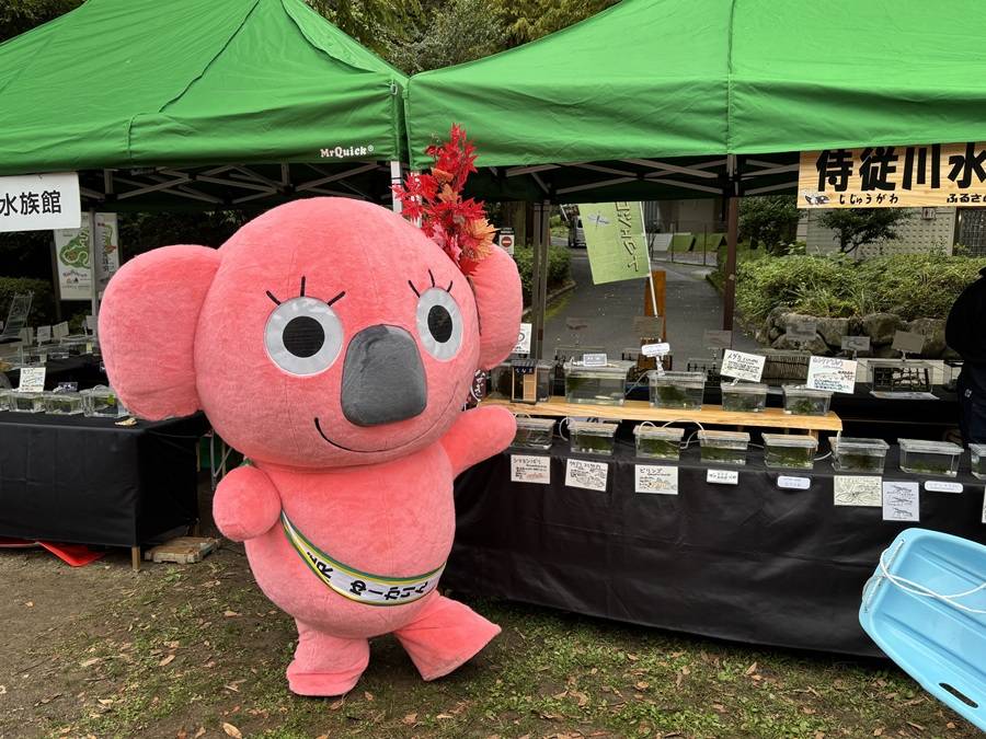 ゆーかりん.jpeg