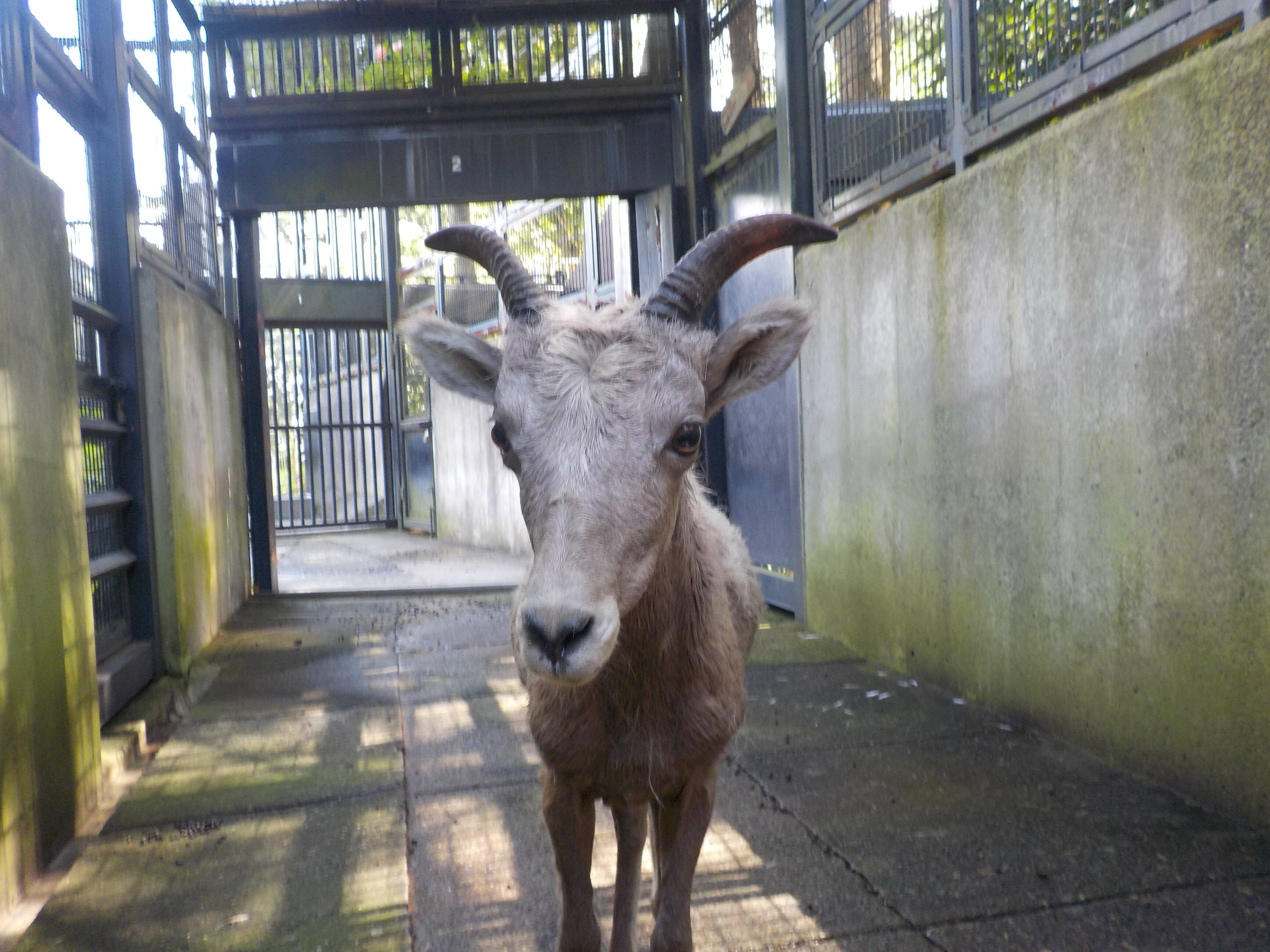 「あれが、ついに・・・・！ 」③.jpg