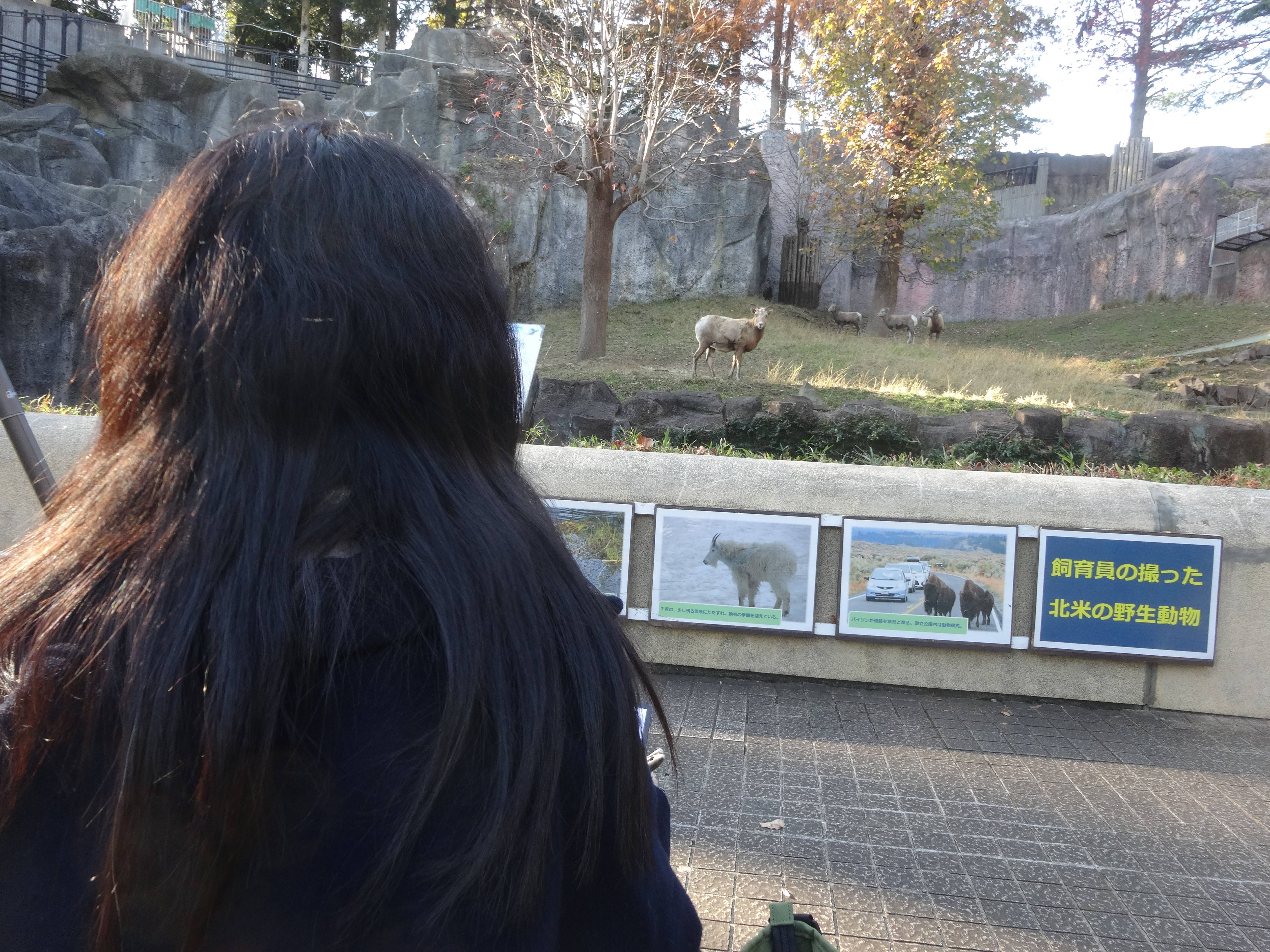 学生が観察してる様子.jpg