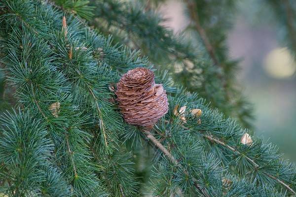 ha20171228-4 -1 コピー.jpg