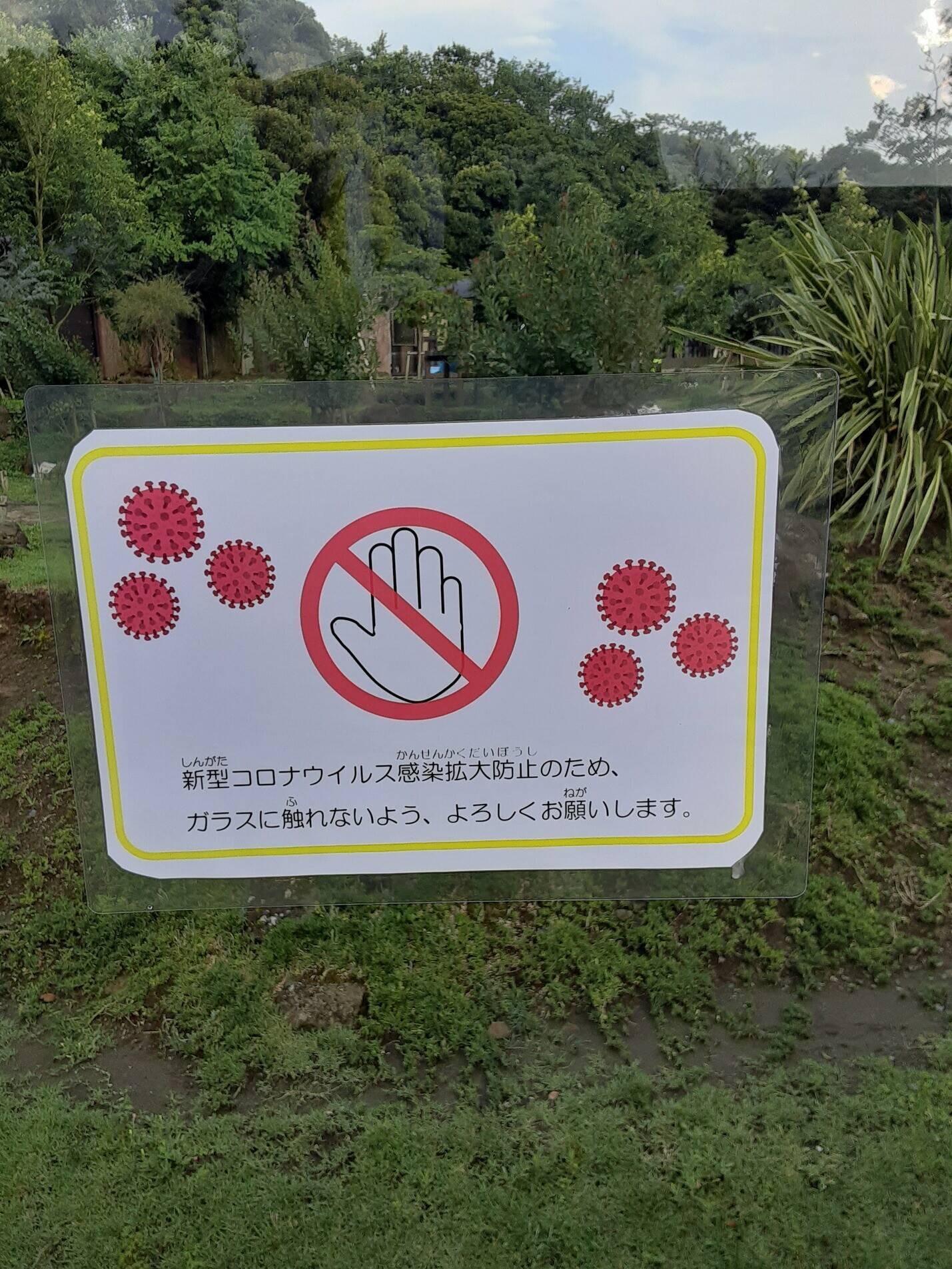 朗報 ウォークスルー再開します④.jpg