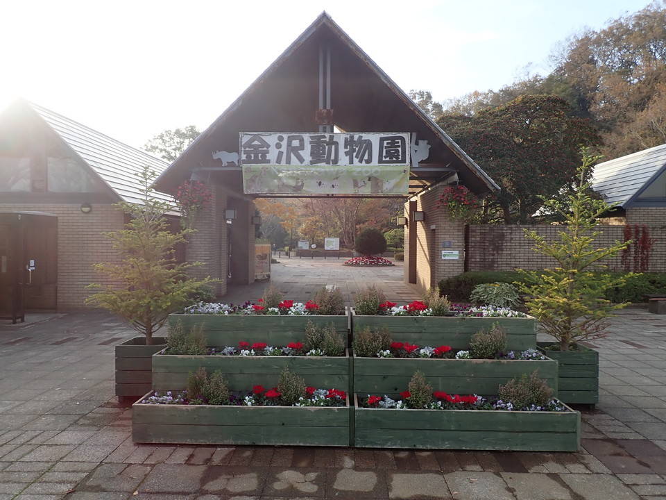 ha20181130-写真11.jpg