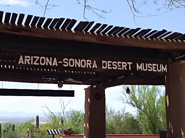 ソノラ砂漠博物館①.jpg