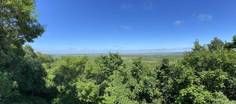 ②釧路湿原 .jpg