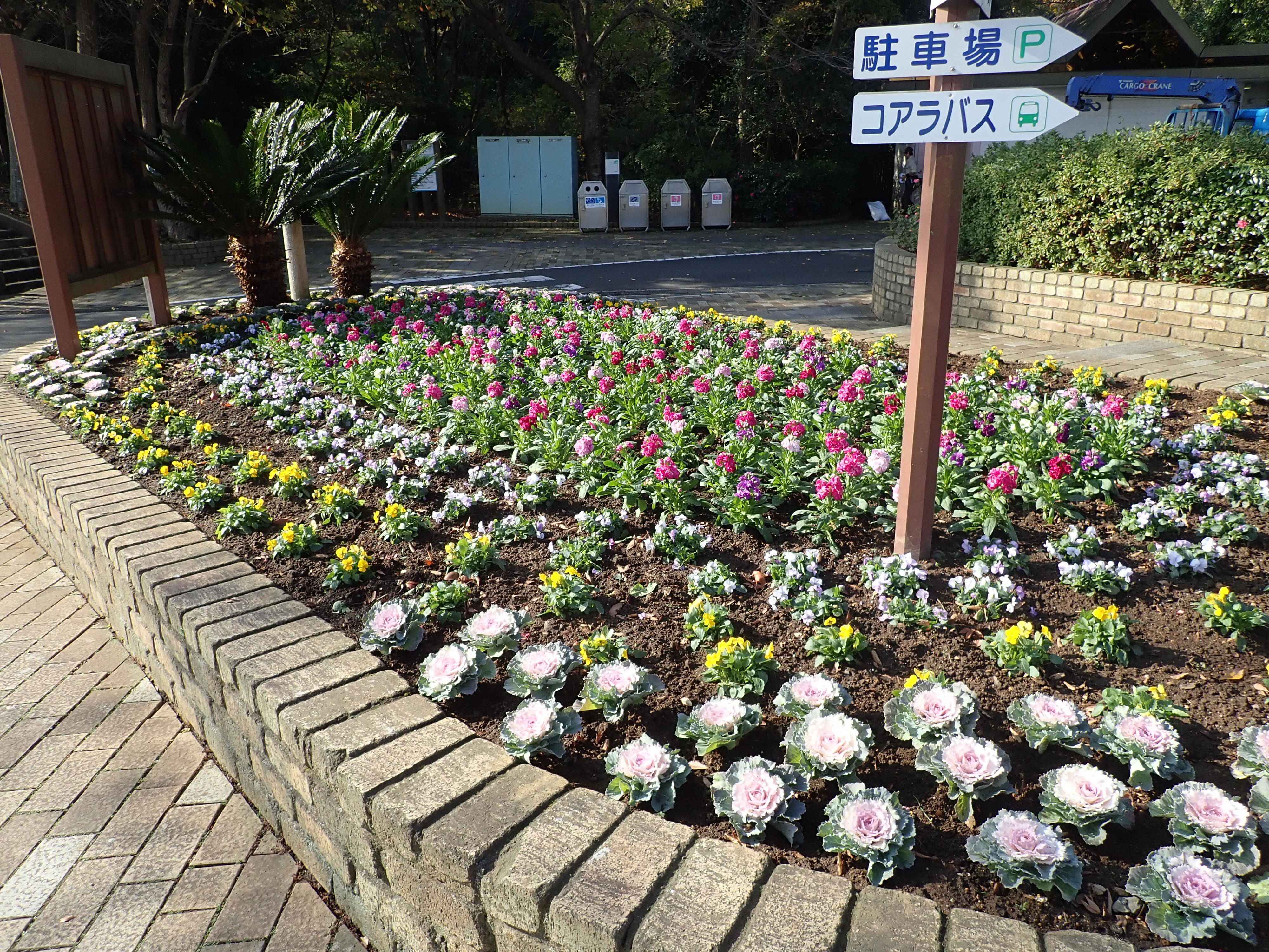ha20181130-写真8.jpg