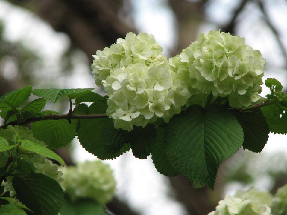 写真1-4.jpg