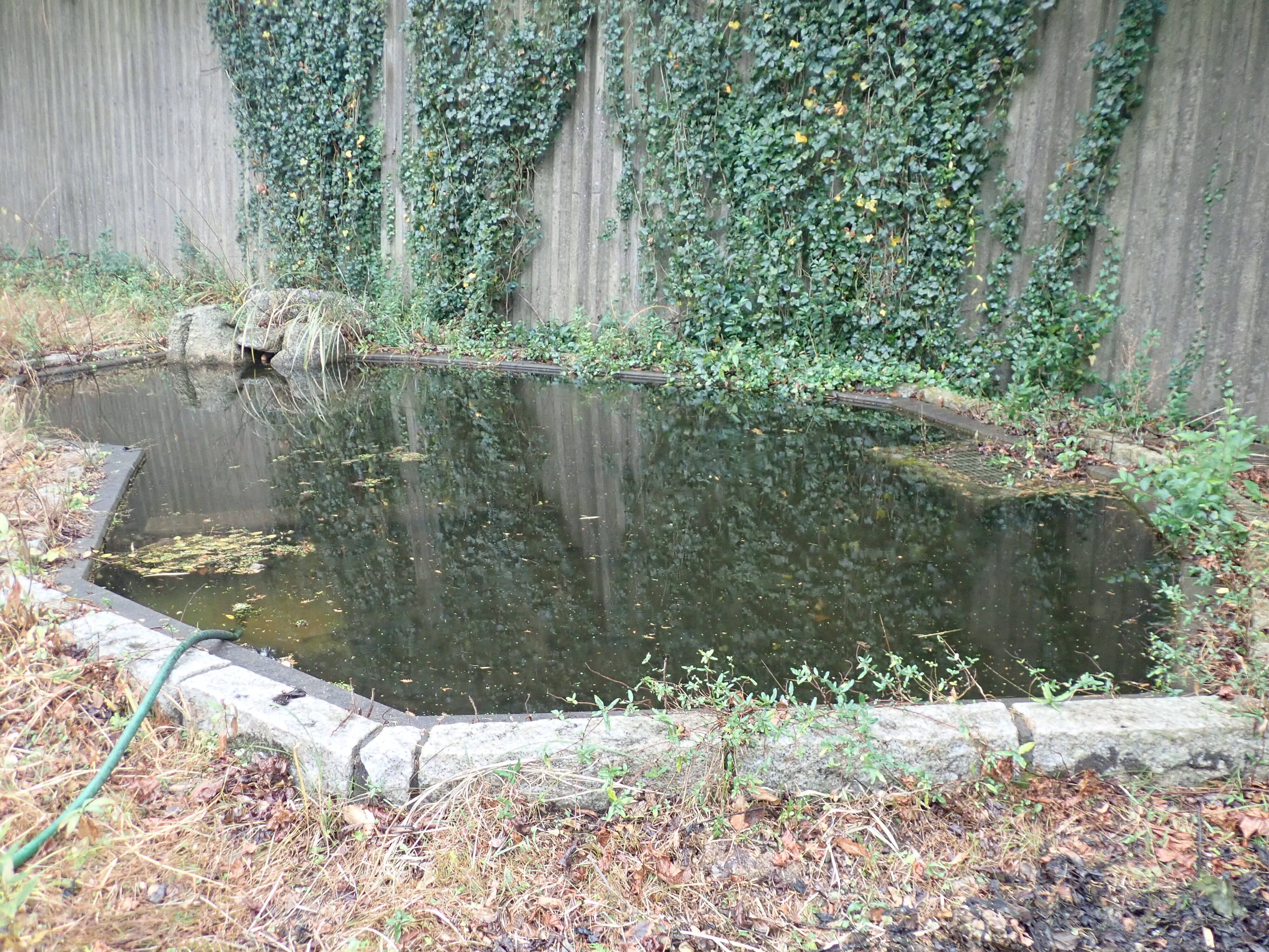 いきものガーデンの池掃除 ちっちゃないきものたち 金沢動物園公式サイト 公益財団法人 横浜市緑の協会