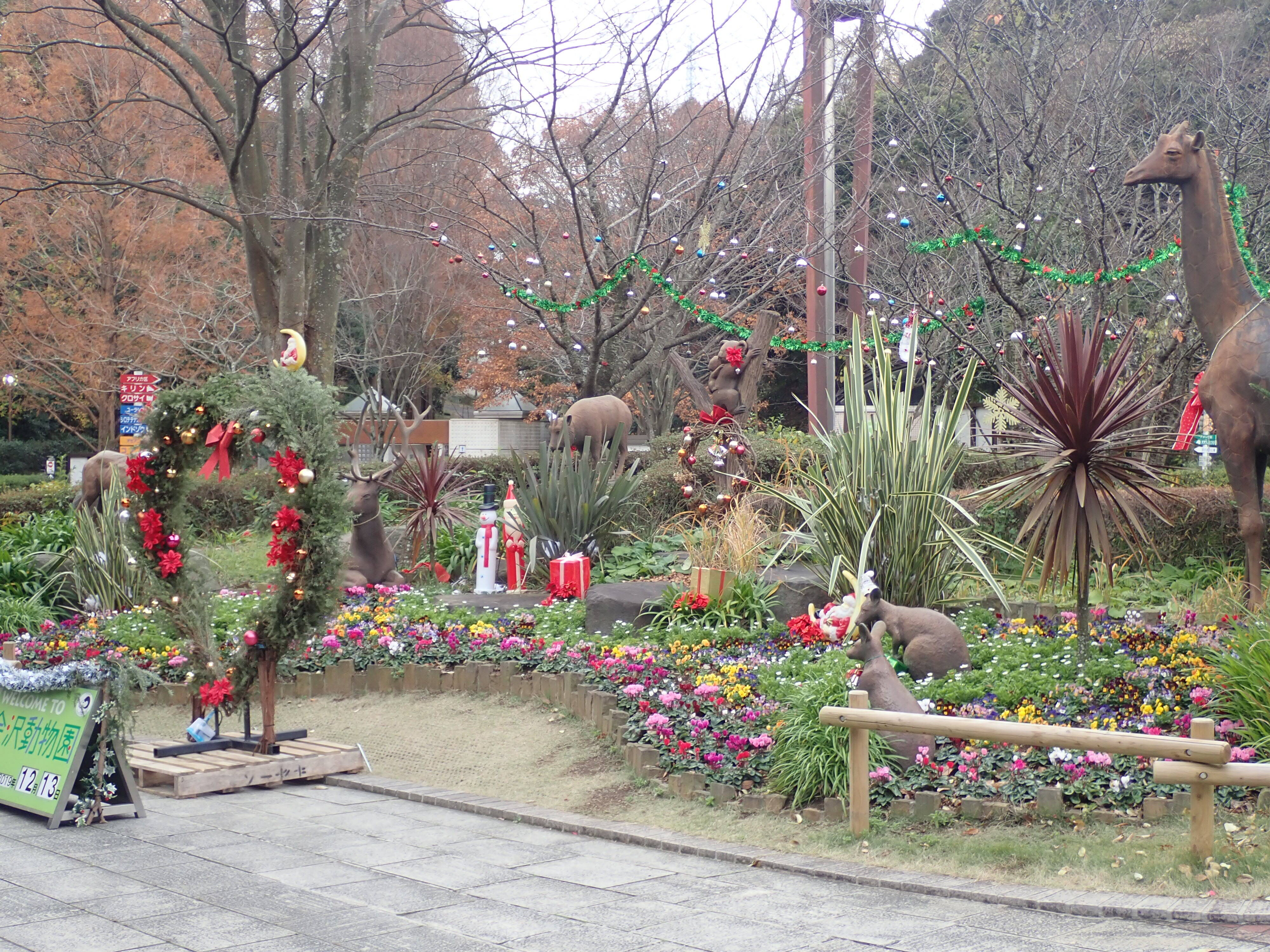 ⑤19.12.13.動物園クリスマス飾り.jpg