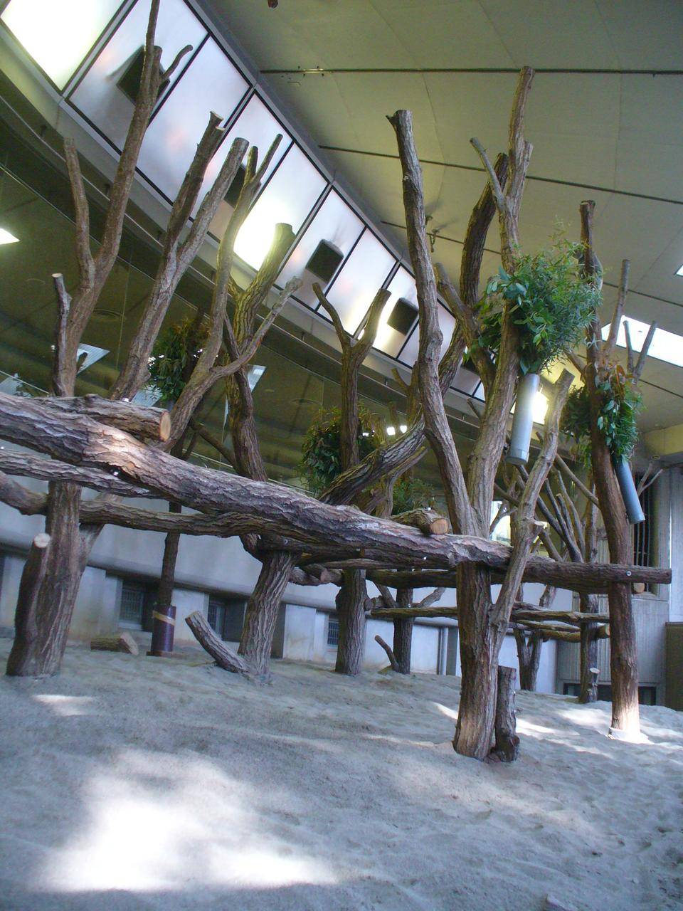 屋内展示場 (2).jpg