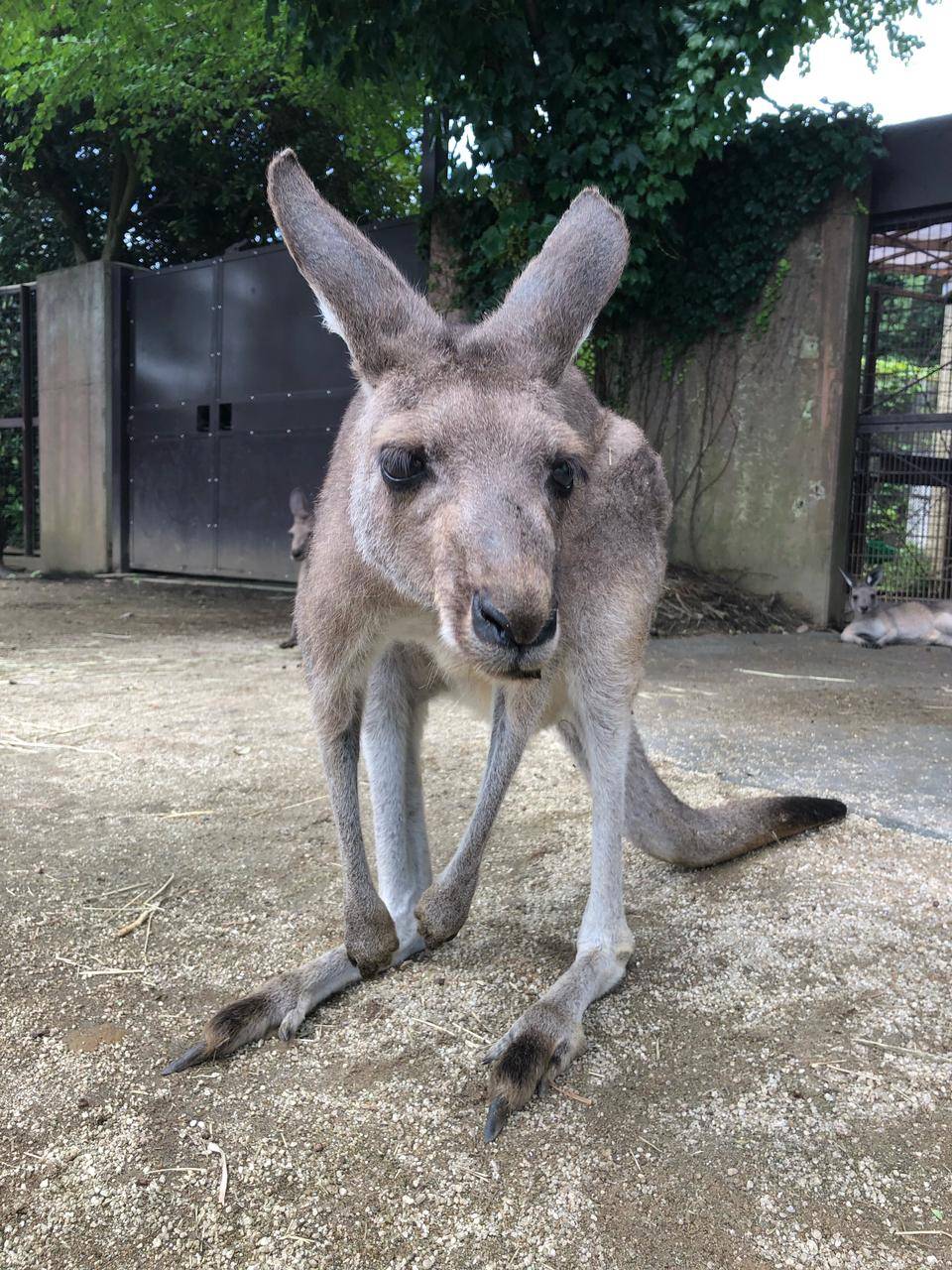 2019年ジャイコ .jpg