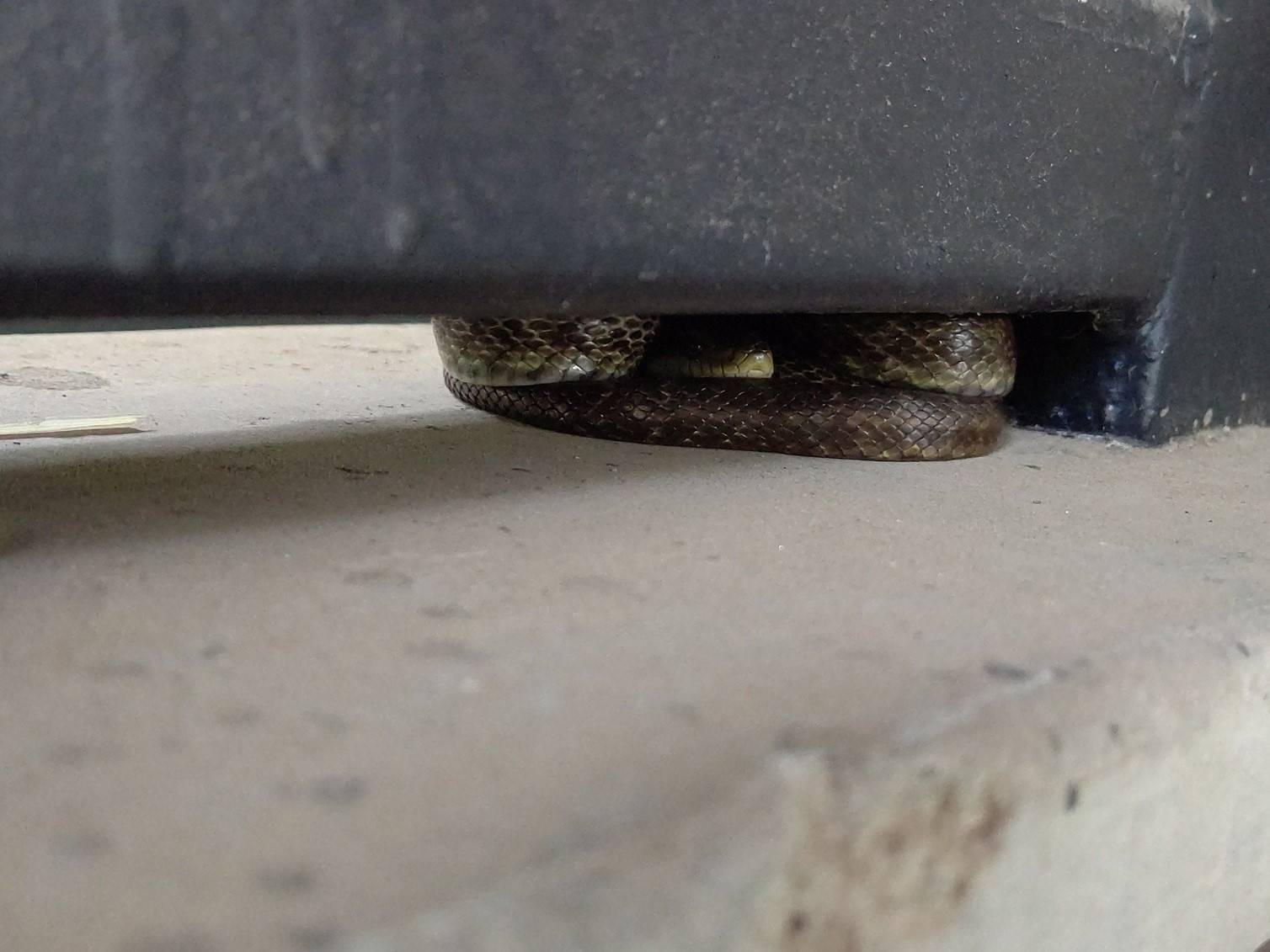 HORIZON_0001_BURST20210612165858152_COVER (002).jpg