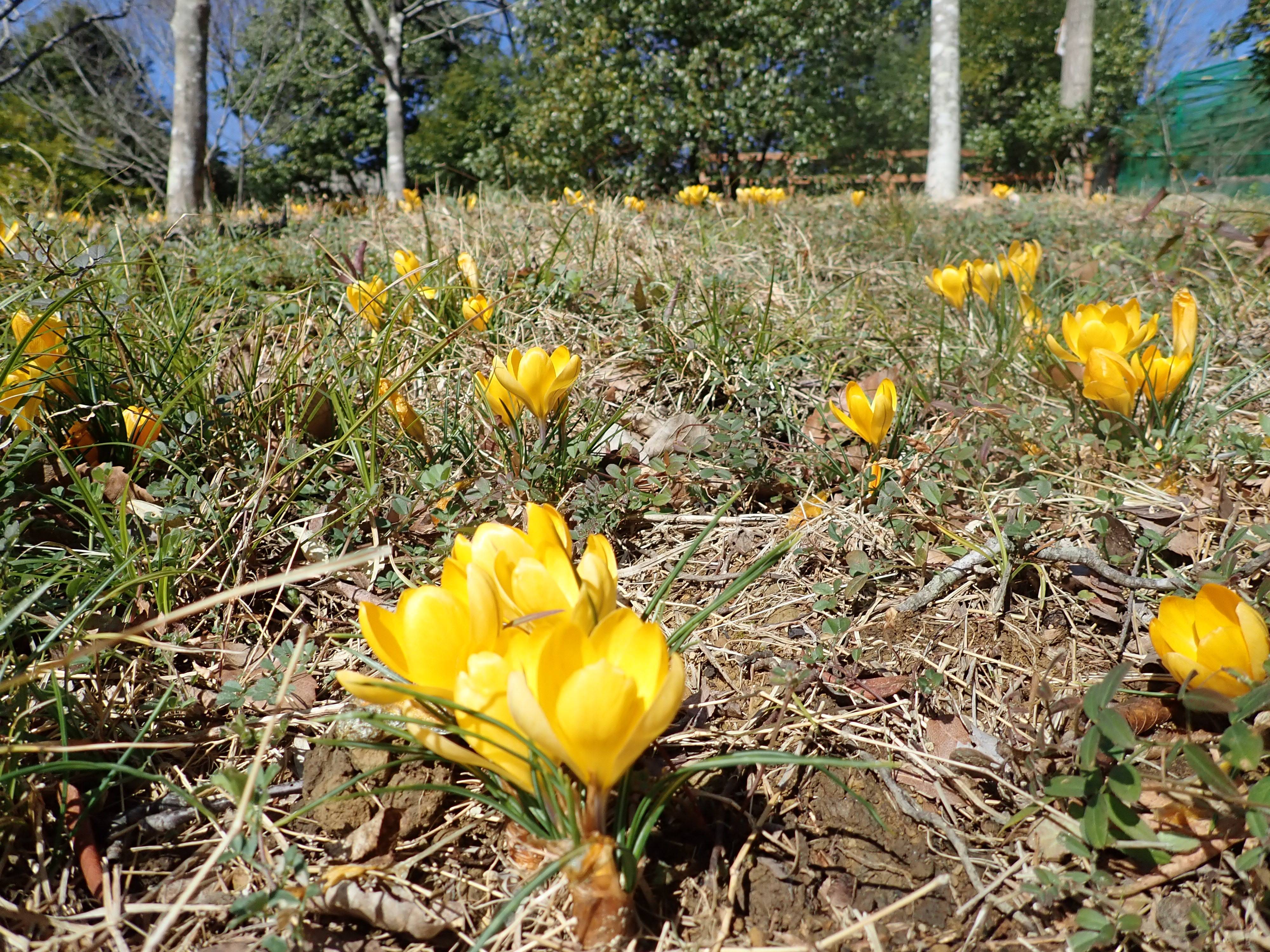 P2162716.jpg