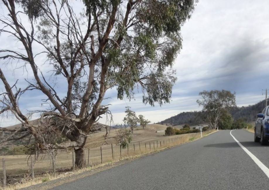 写真① タスマニアの道路.jpg