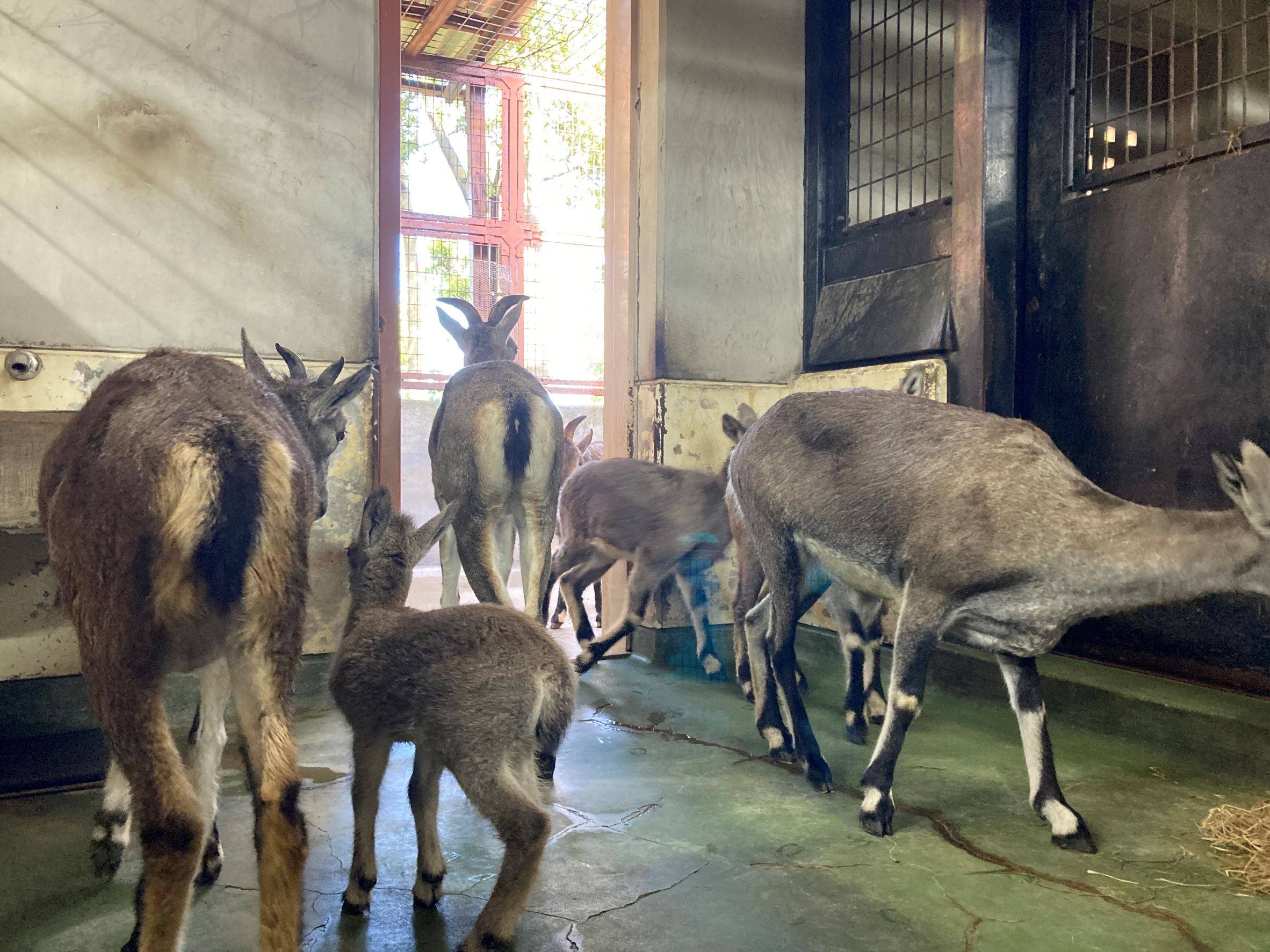 予備展示場 (4).jpg