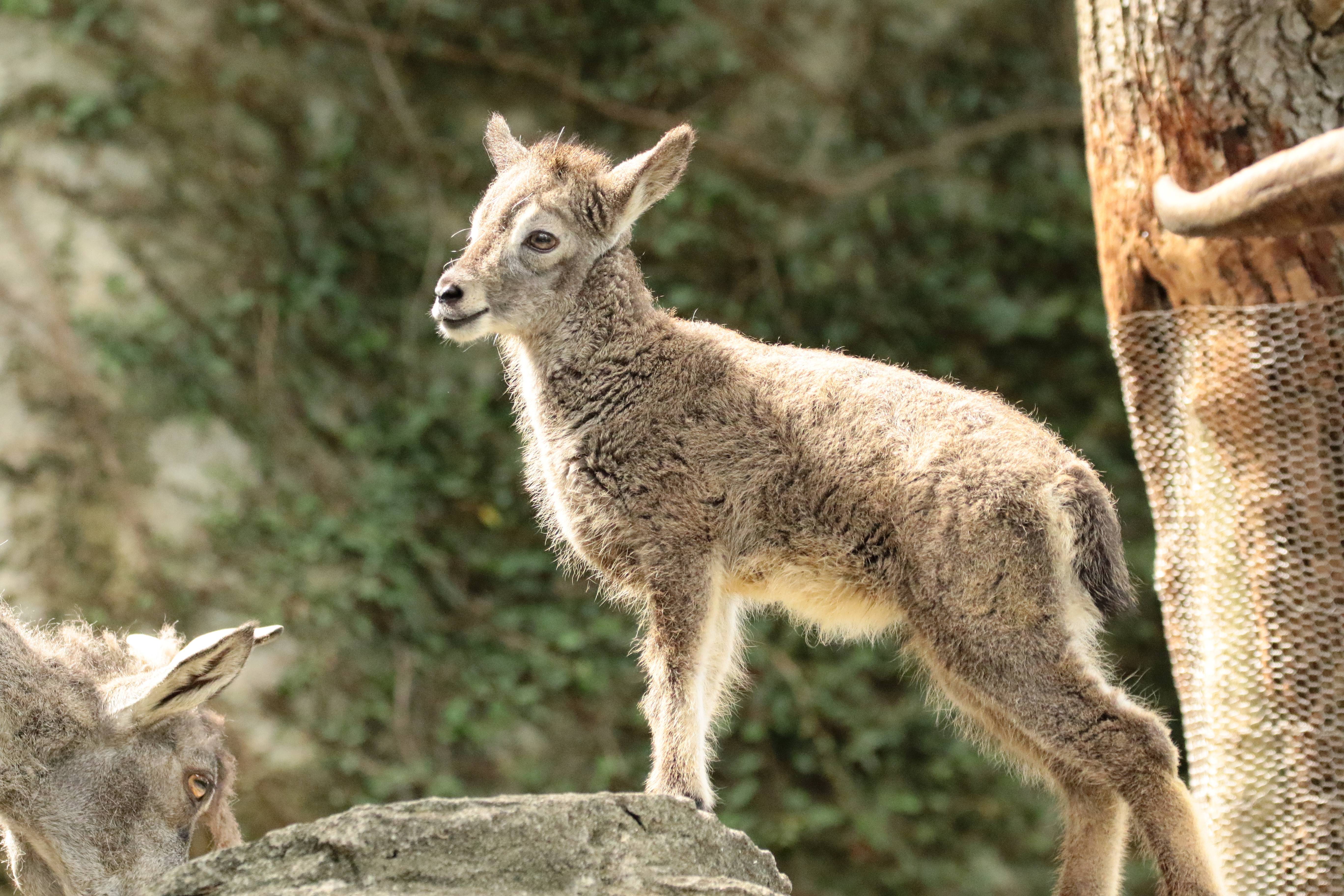 パン誕生日 小.jpg