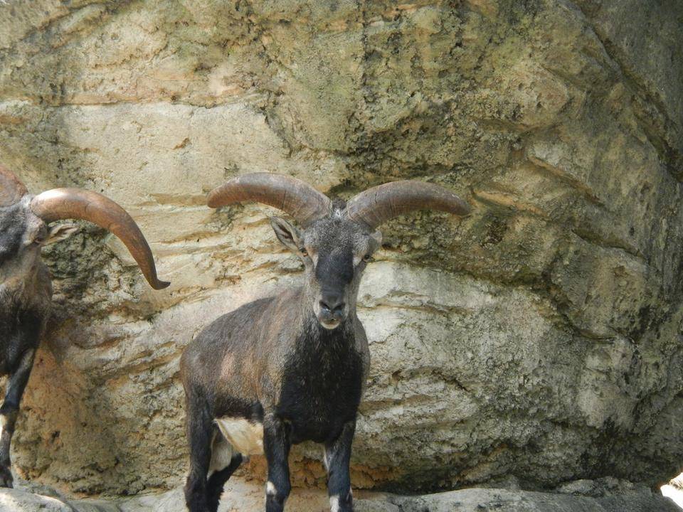 昔のユウキ (2).jpg