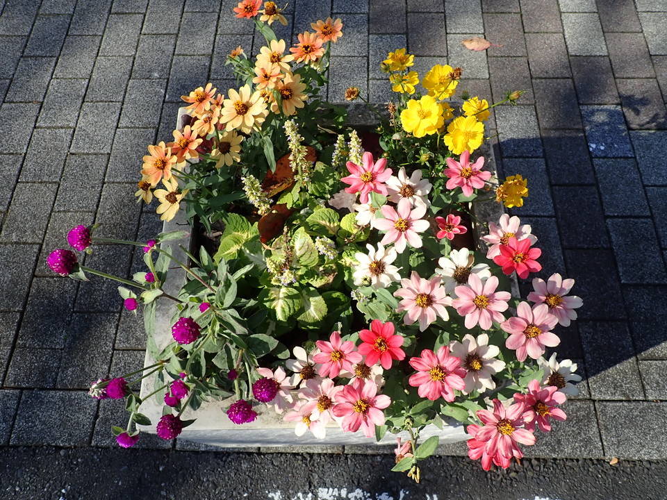 ha20181130-写真4.jpg