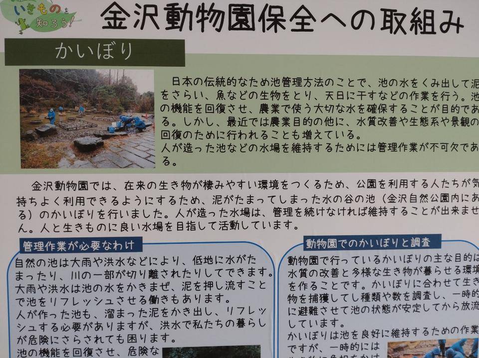 かいぼりのパネル.jpg