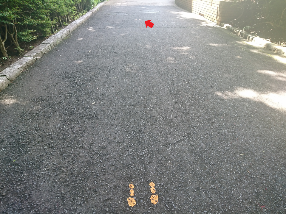 写真⑥ 金沢動物園オセアニア坂.png
