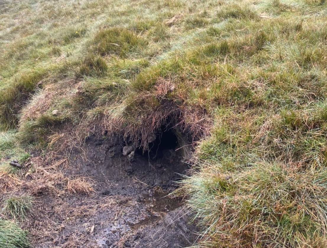 写真⑤ ウォンバットの巣穴と思われるもの.jpg