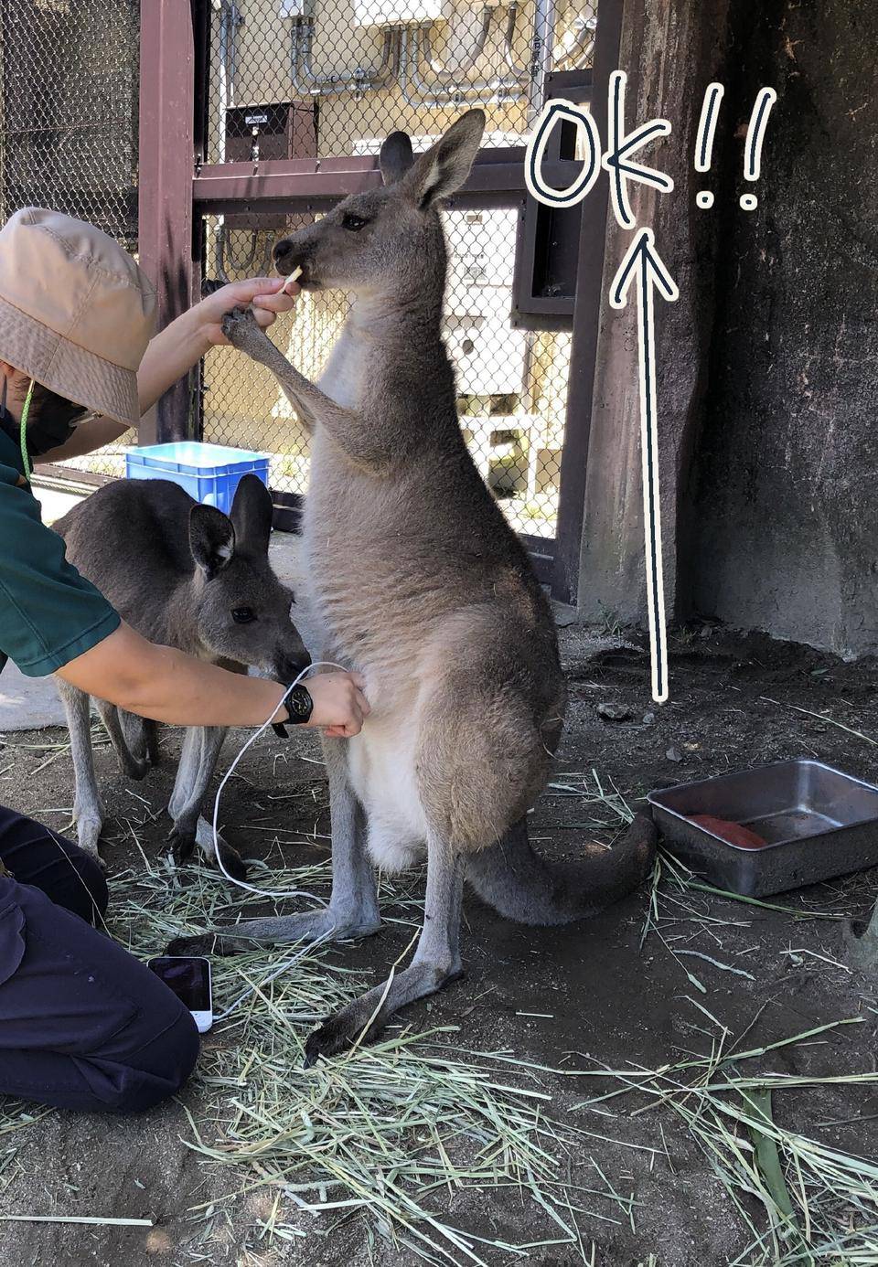 観察しやすい姿勢 1.jpg