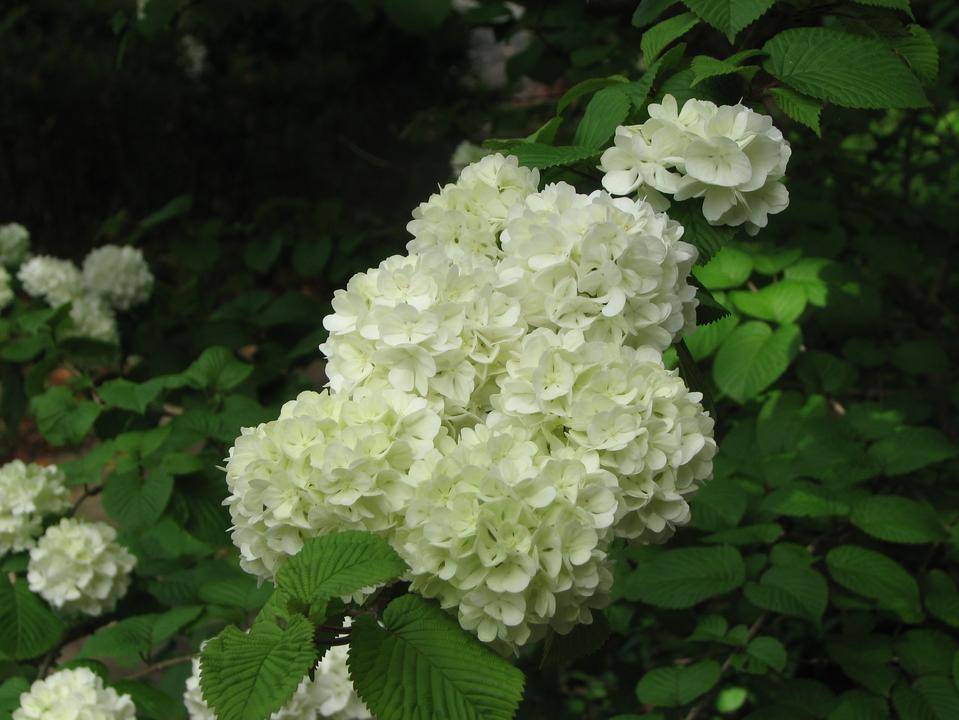 写真1-3.jpg