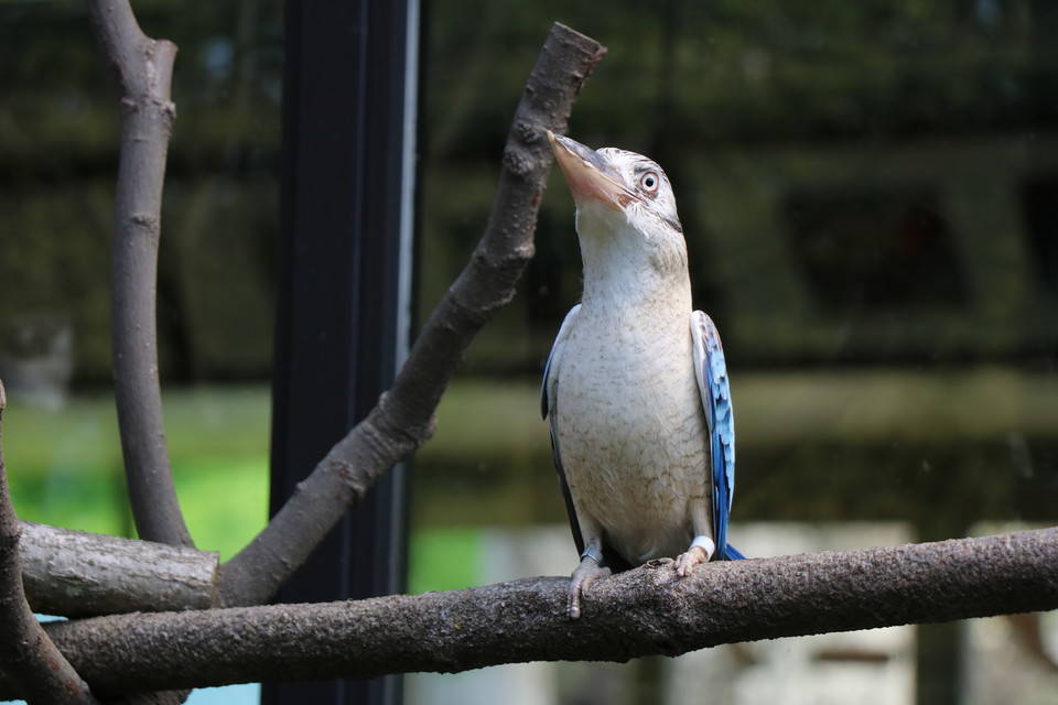 20170413-3.jpg
