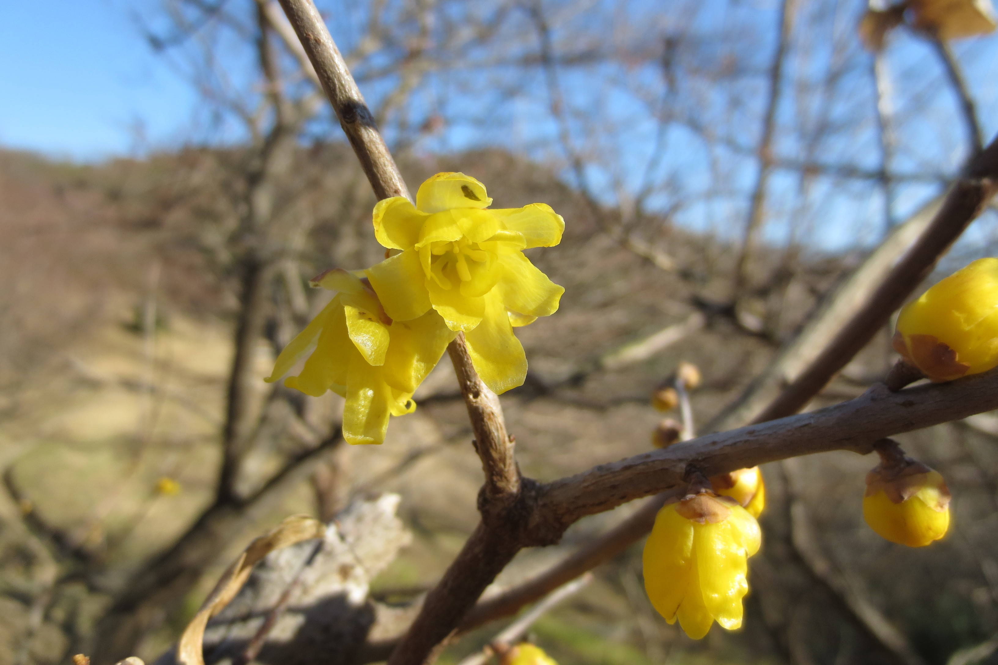 ha20161216-2.jpg