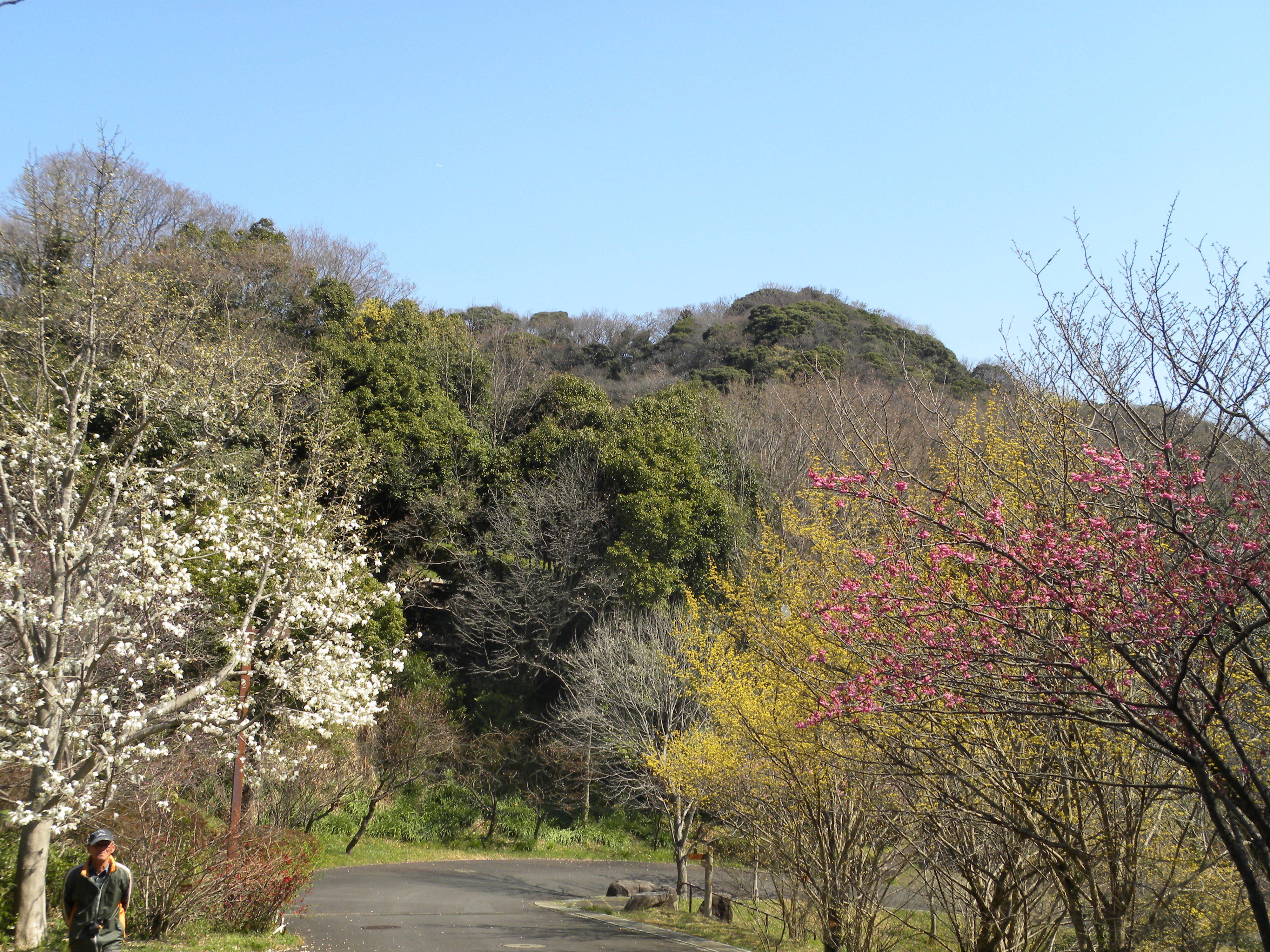 ha20170324-1.jpg