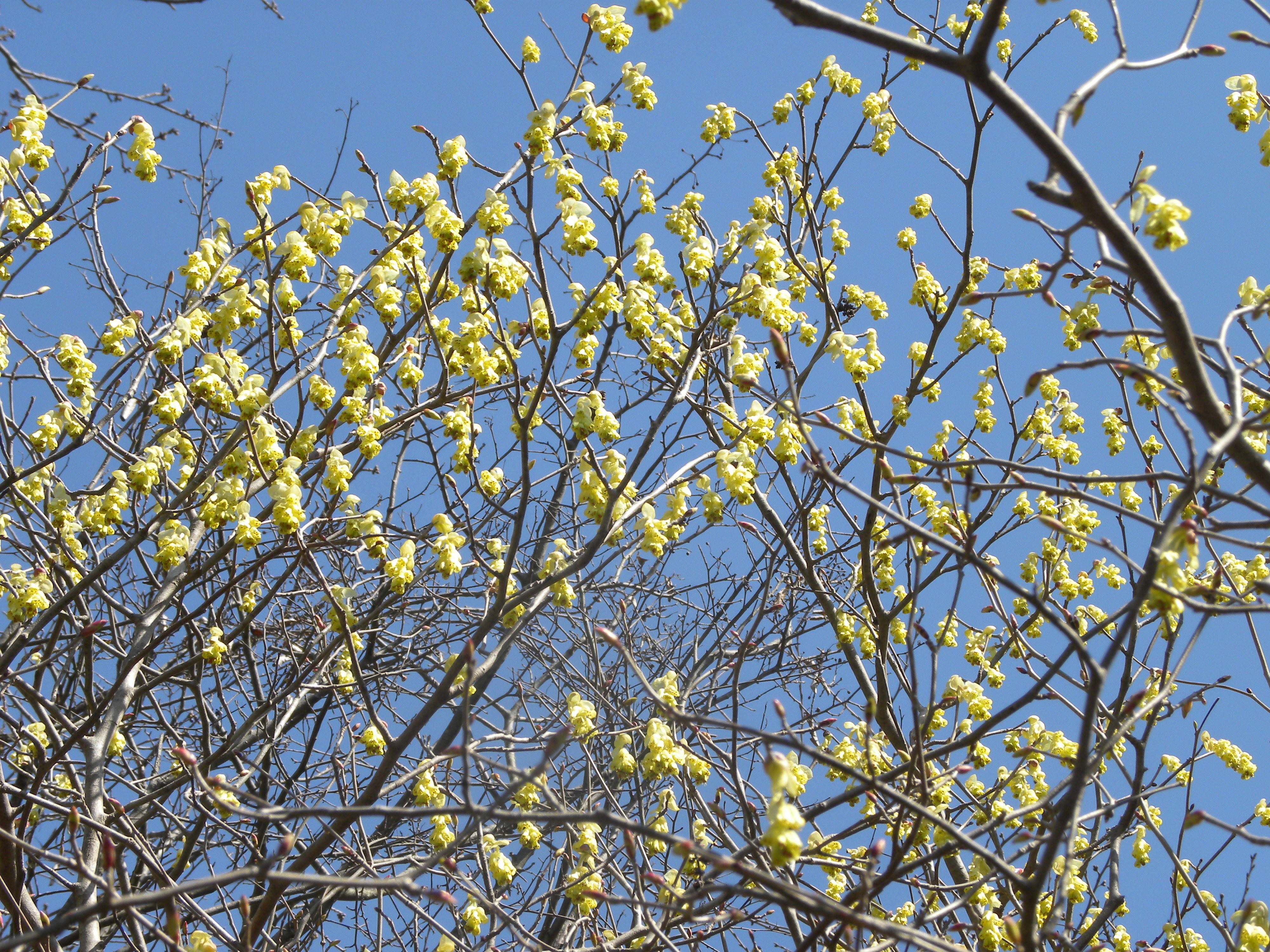 ha20170324-3.jpg
