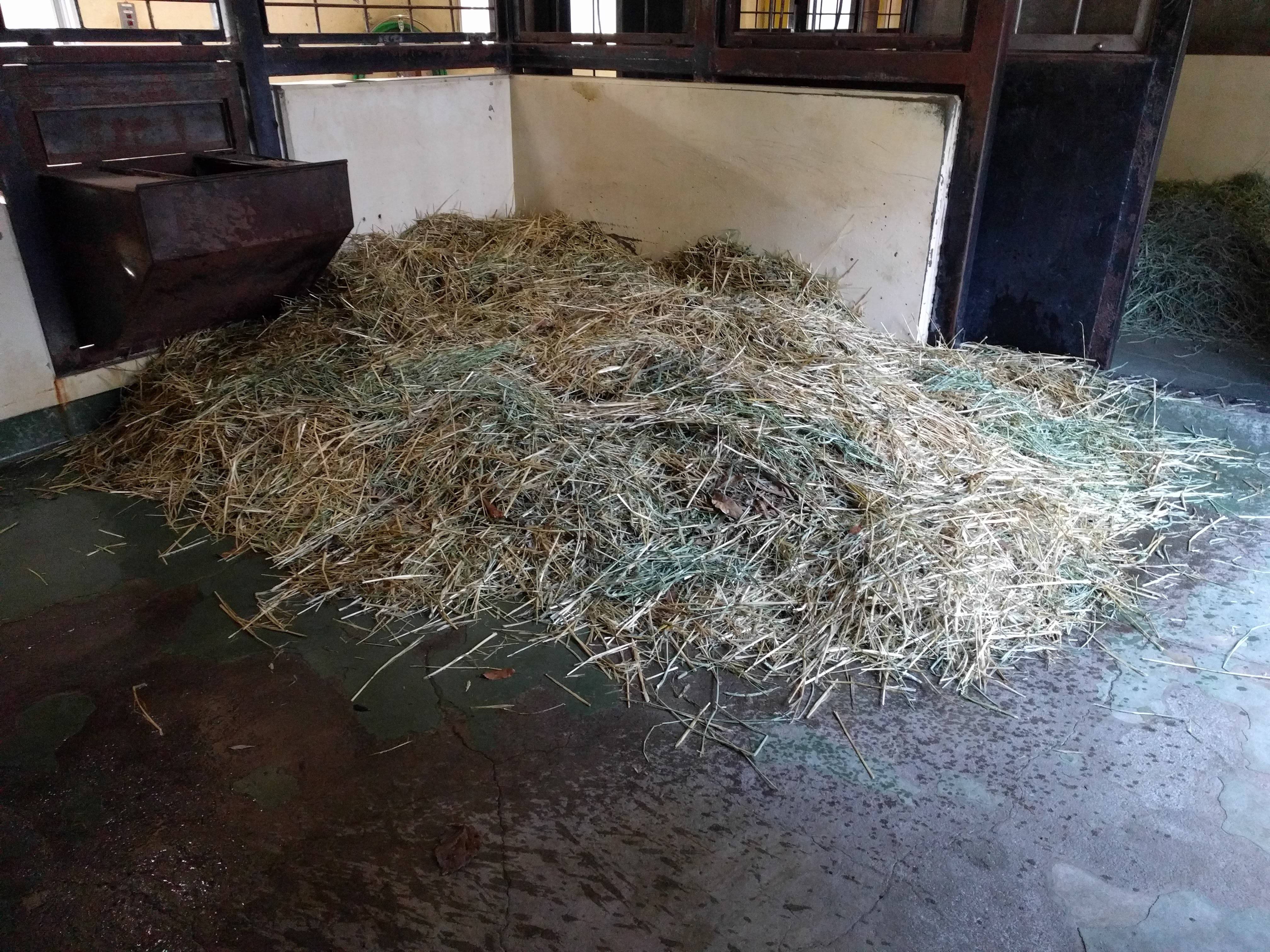 ko20180821-2.jpg