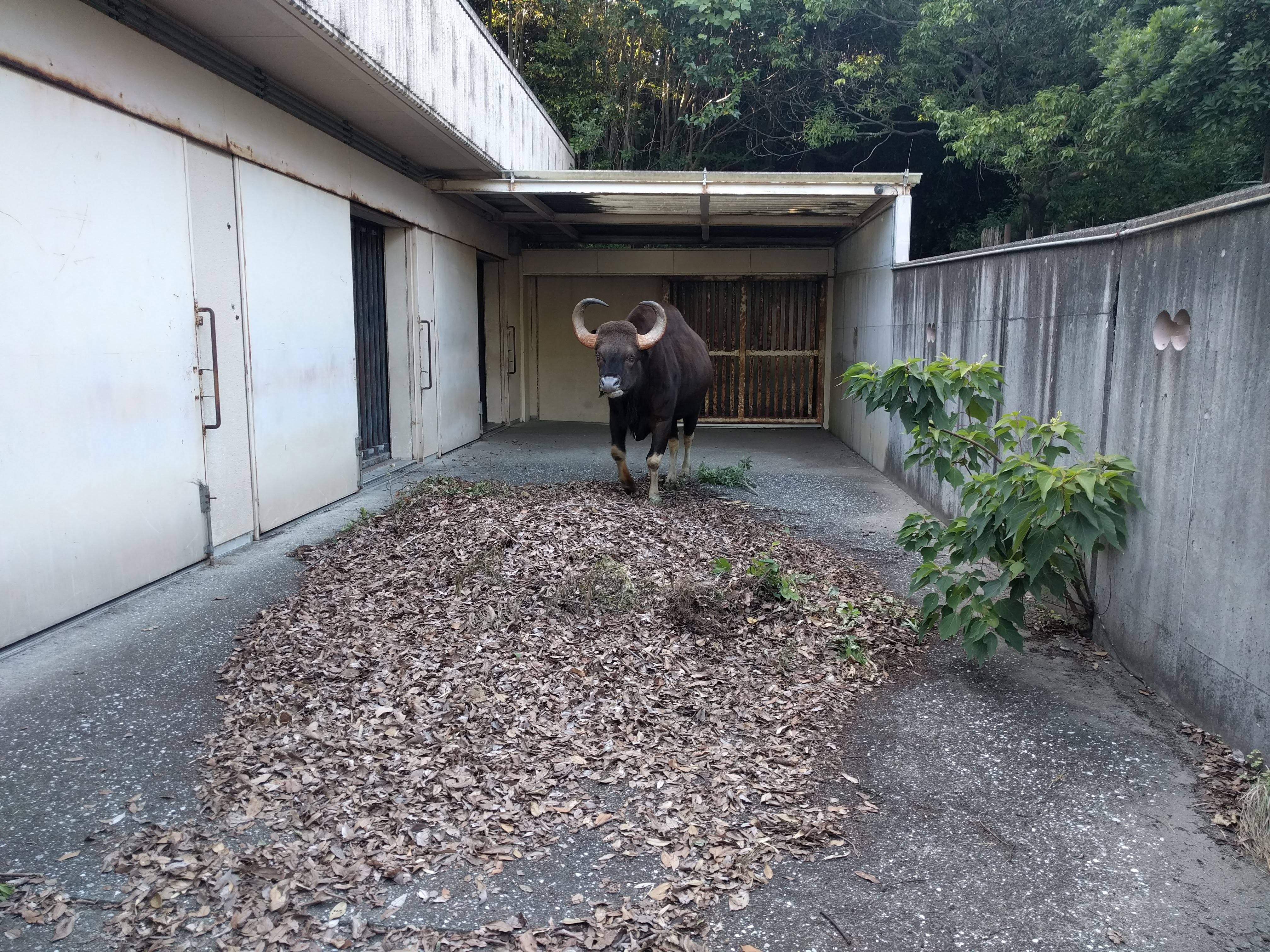 ko20180821-4.jpg
