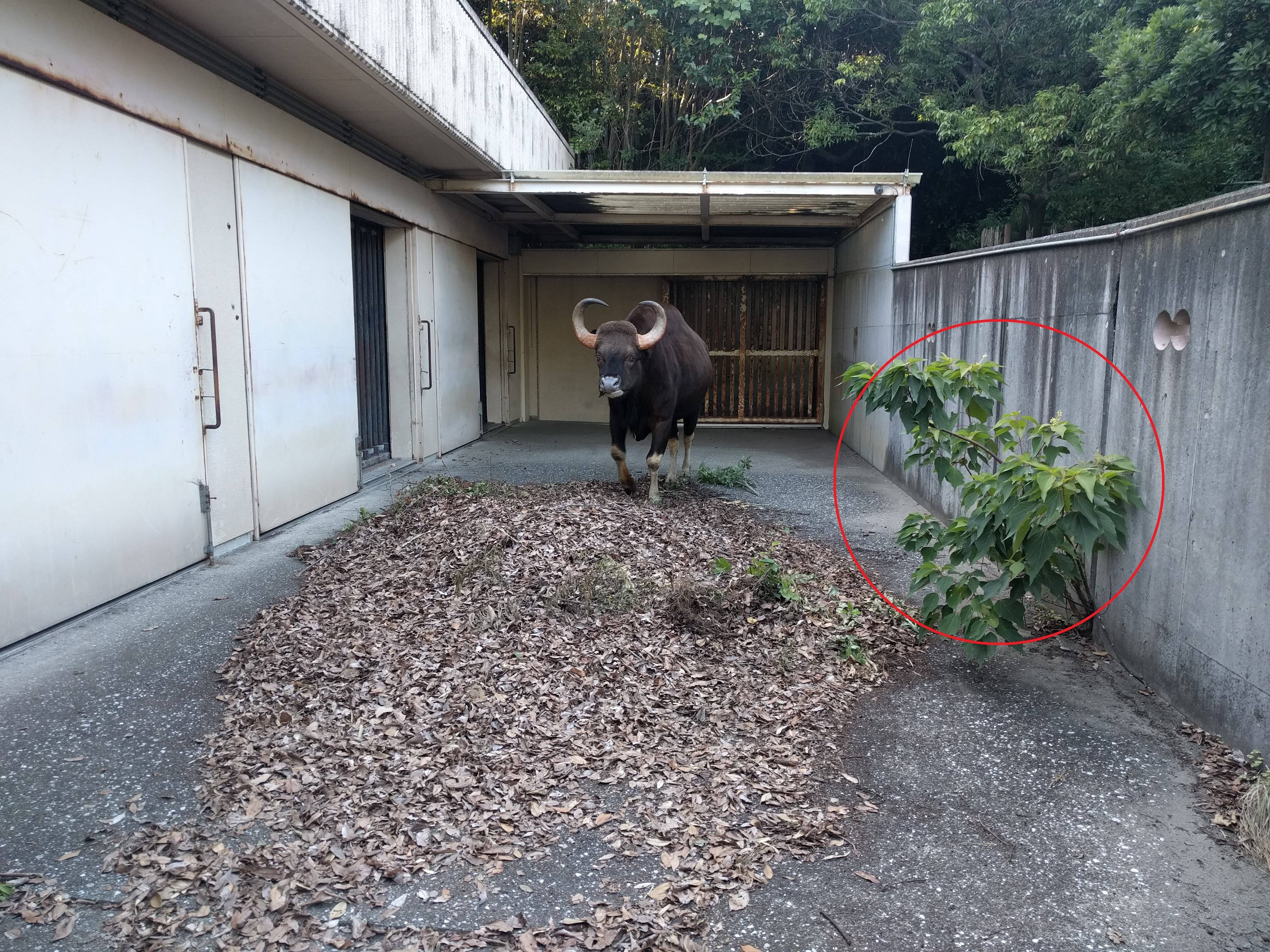 ko20180821-6.jpg