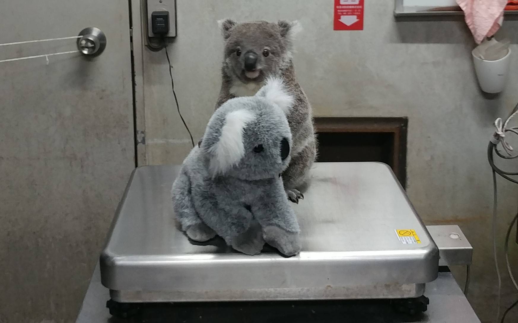 20210310_164735_HDR (002).jpg