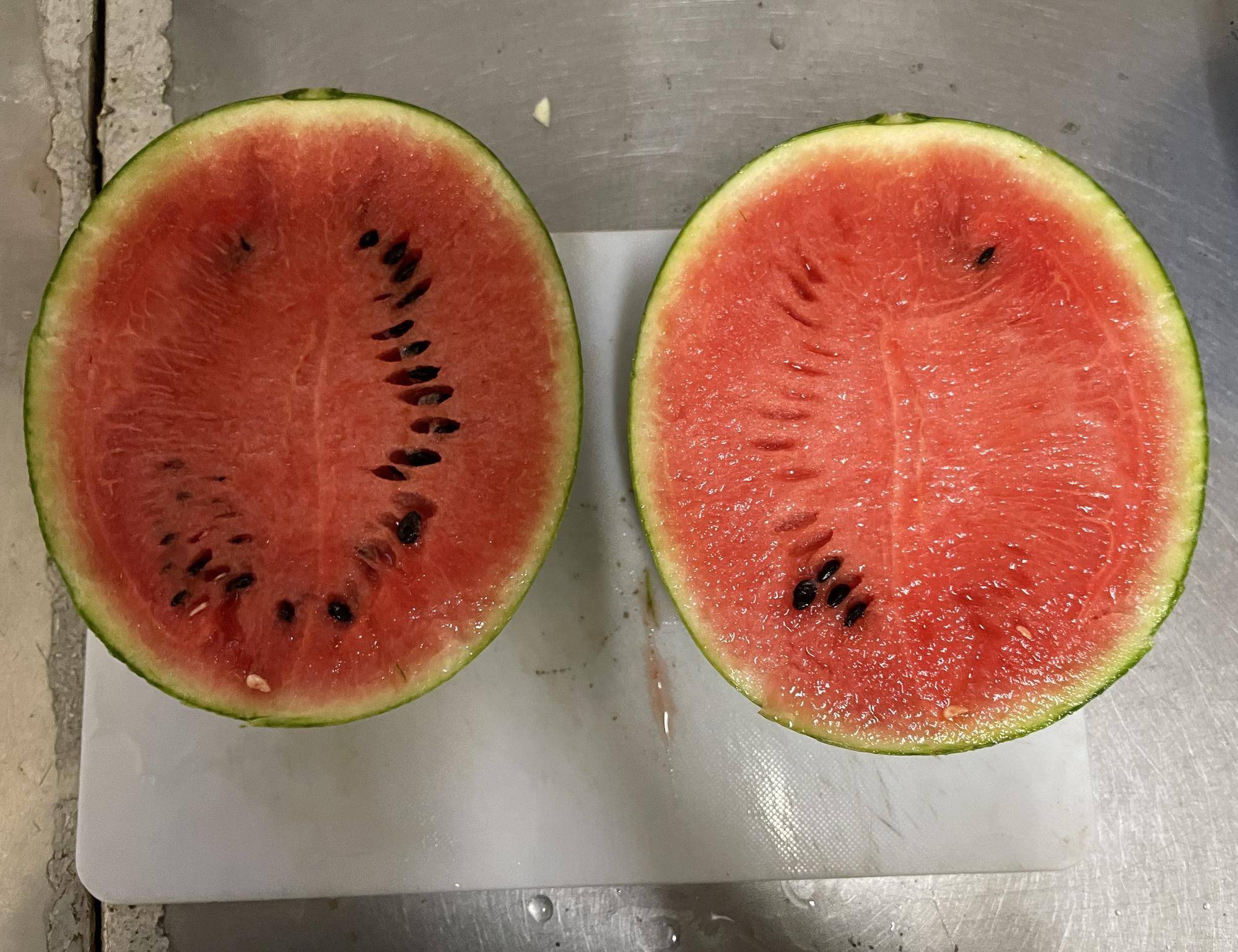 小玉スイカは皮が薄くて、実がいっぱい.jpeg